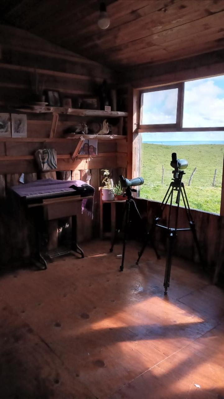 Refugio Pureo Chiloé