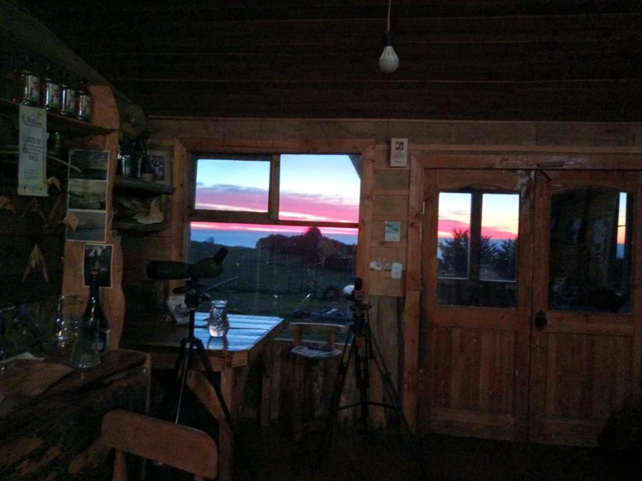 Refugio Pureo Chiloé