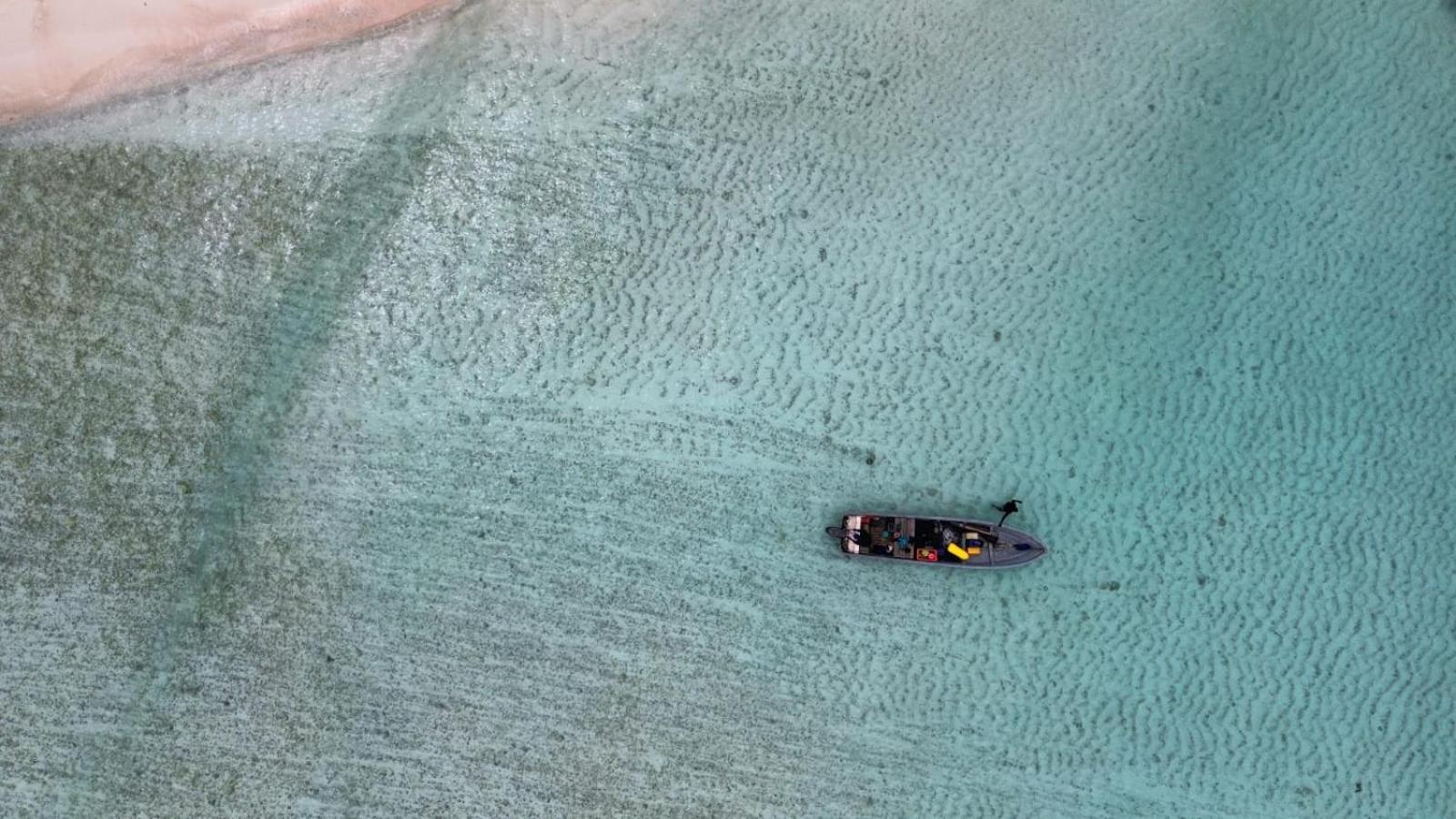 Raja Ampat Blue Sea