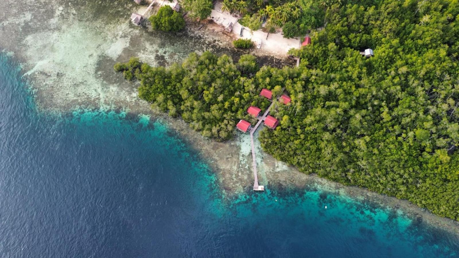 Raja Ampat Blue Sea