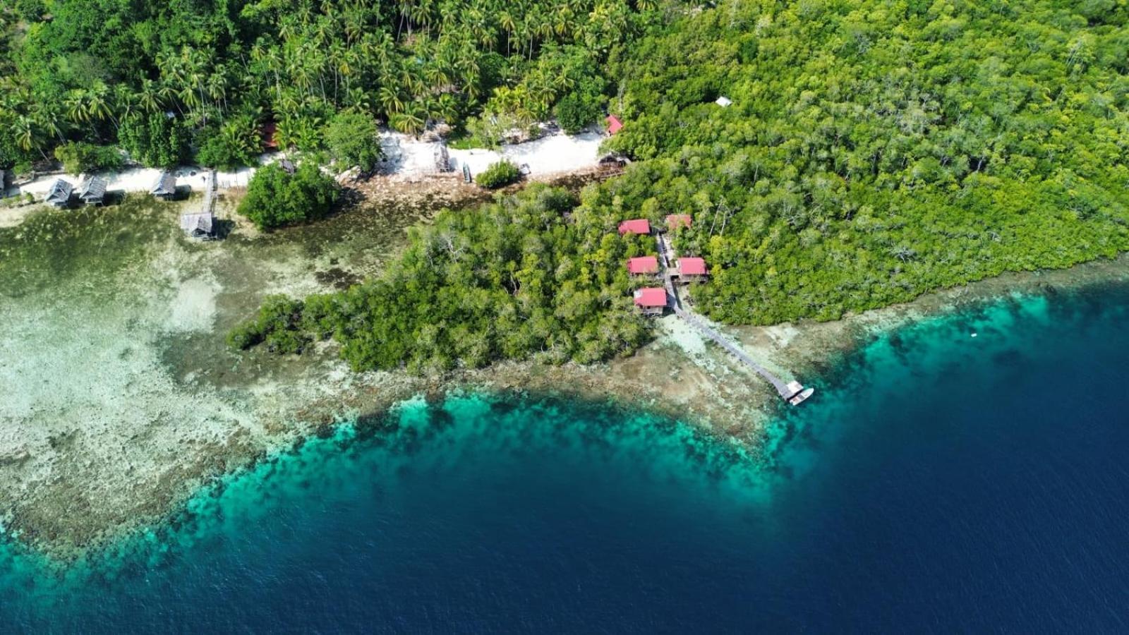Raja Ampat Blue Sea