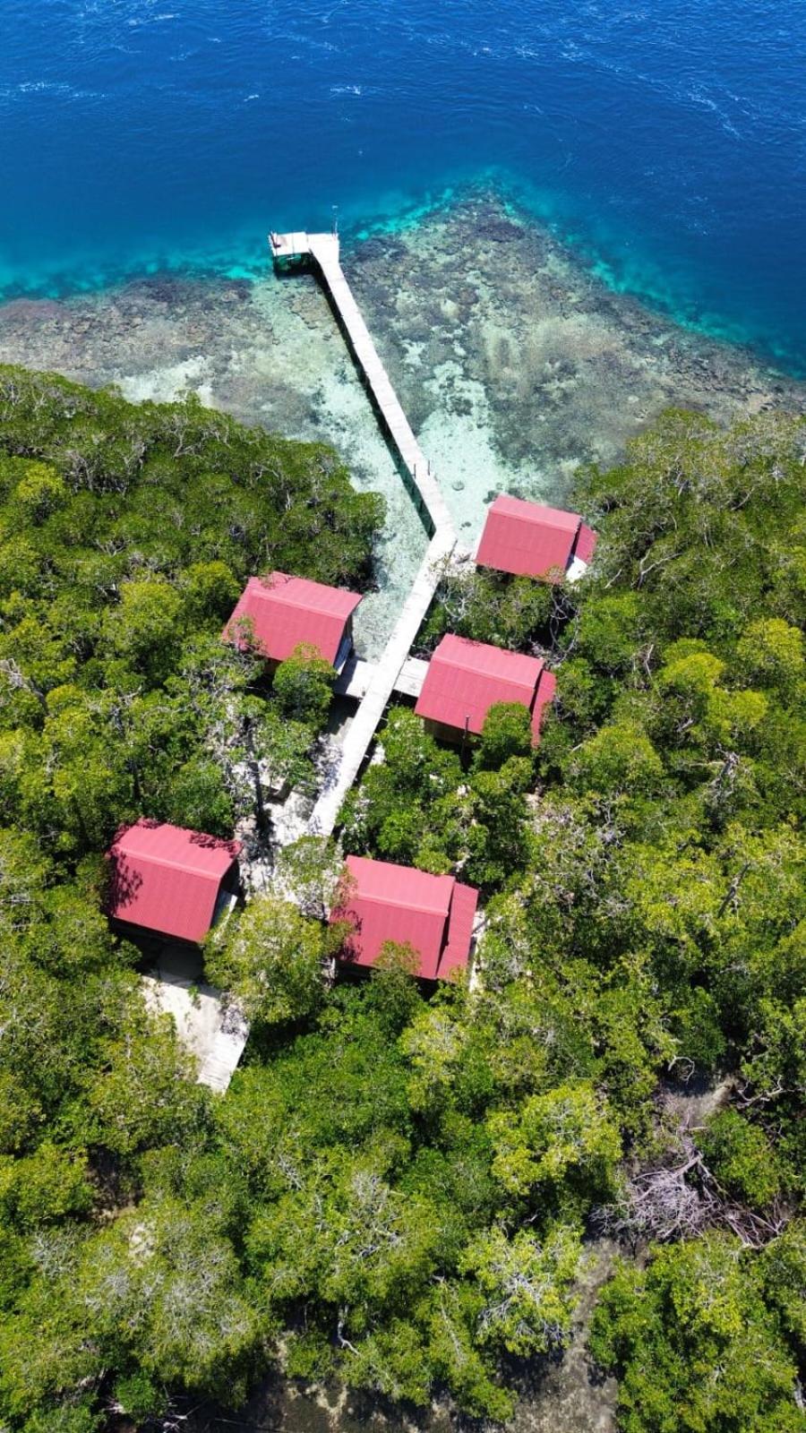 Raja Ampat Blue Sea