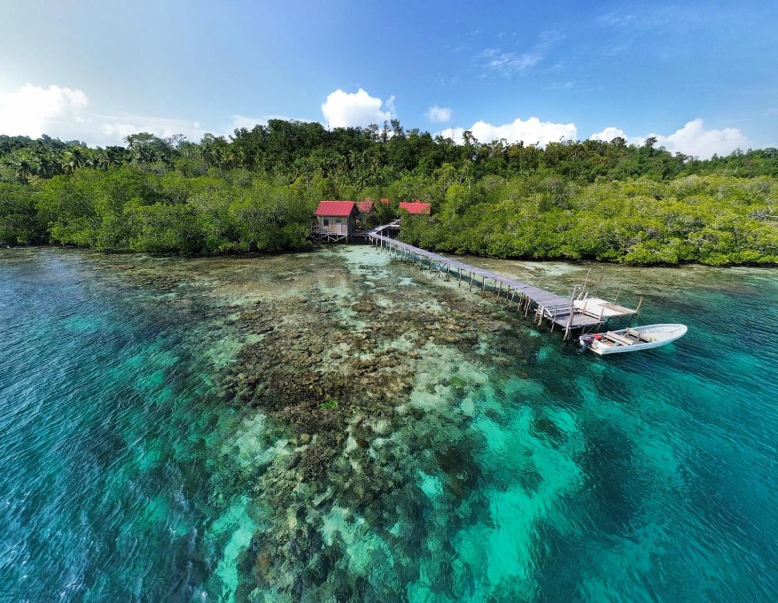 Raja Ampat Blue Sea