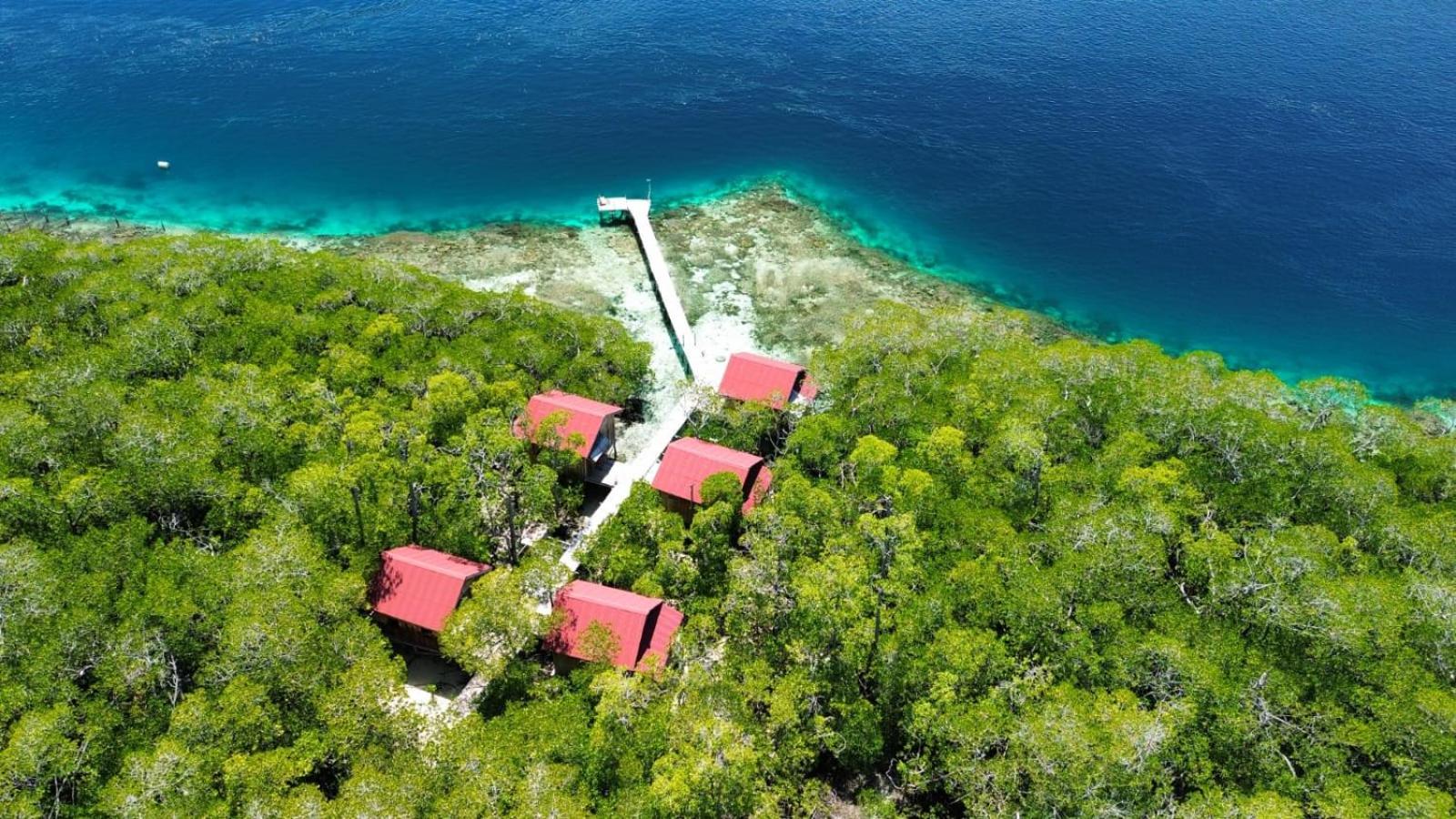 Raja Ampat Blue Sea