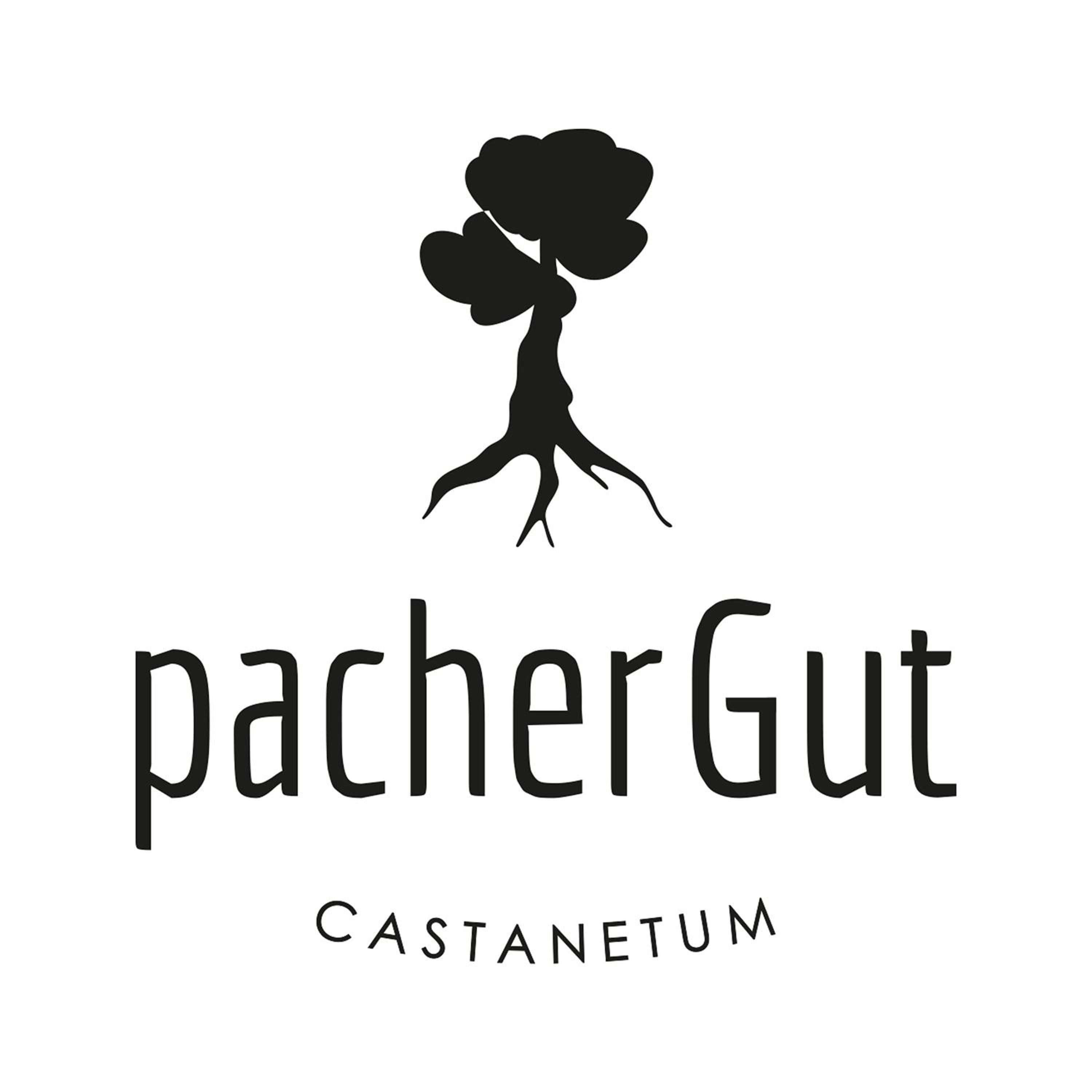 Pacher Gut