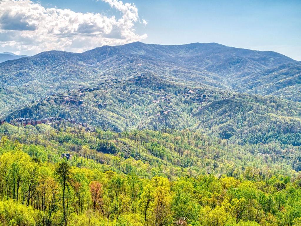 Heavenly View, FREE Attraction tickets for each paid day, Resort Pool, Hot Tub, WIFI! view 5