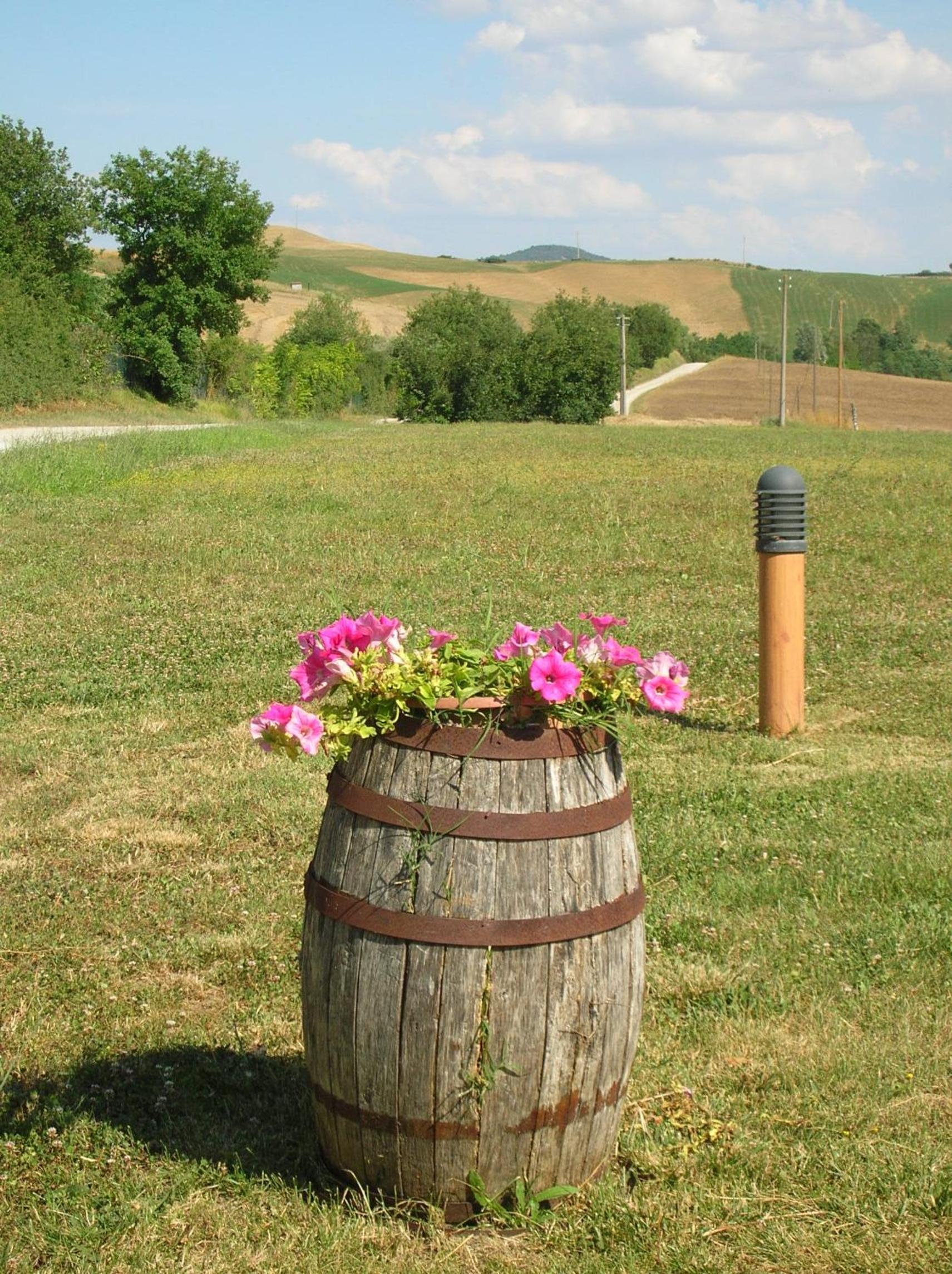 Photo 23
