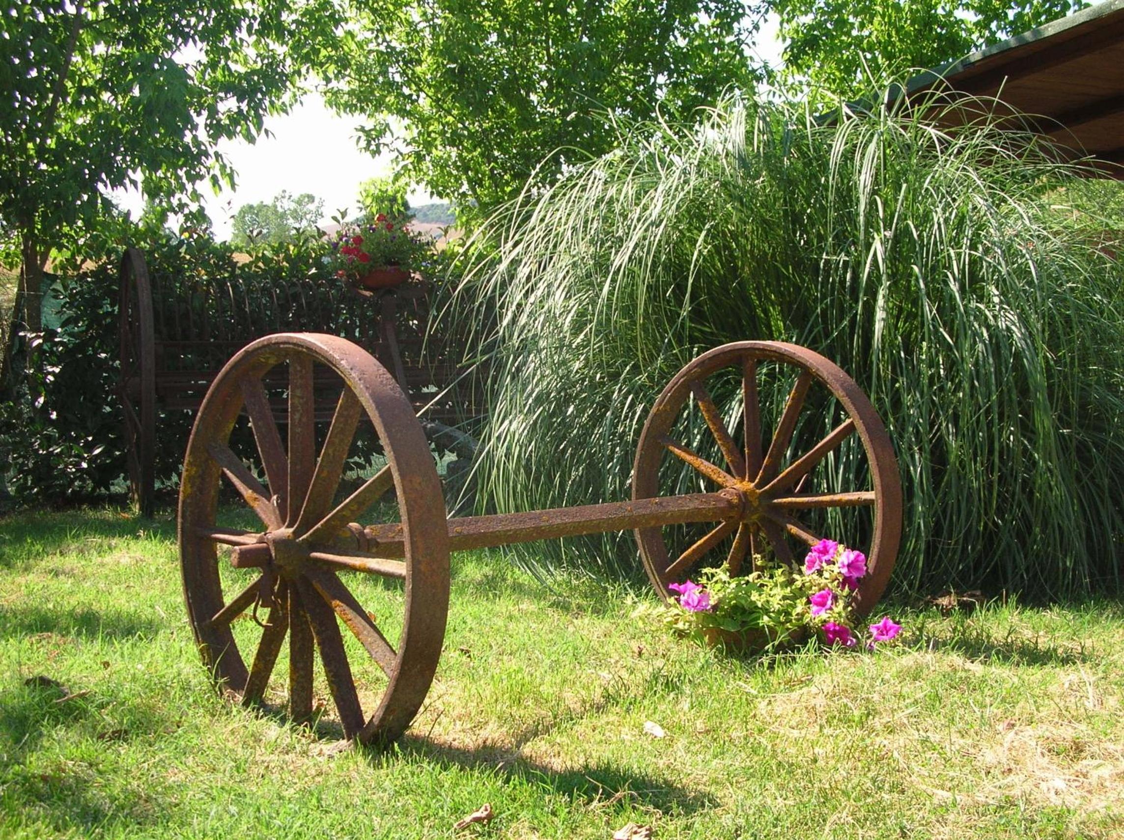 Photo 42