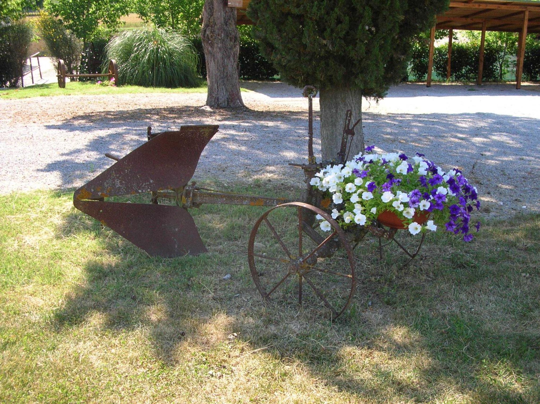 Photo 43