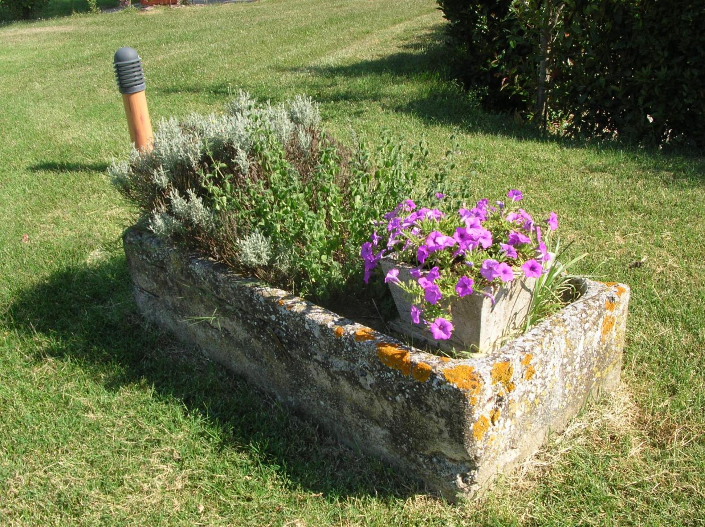 Photo 44