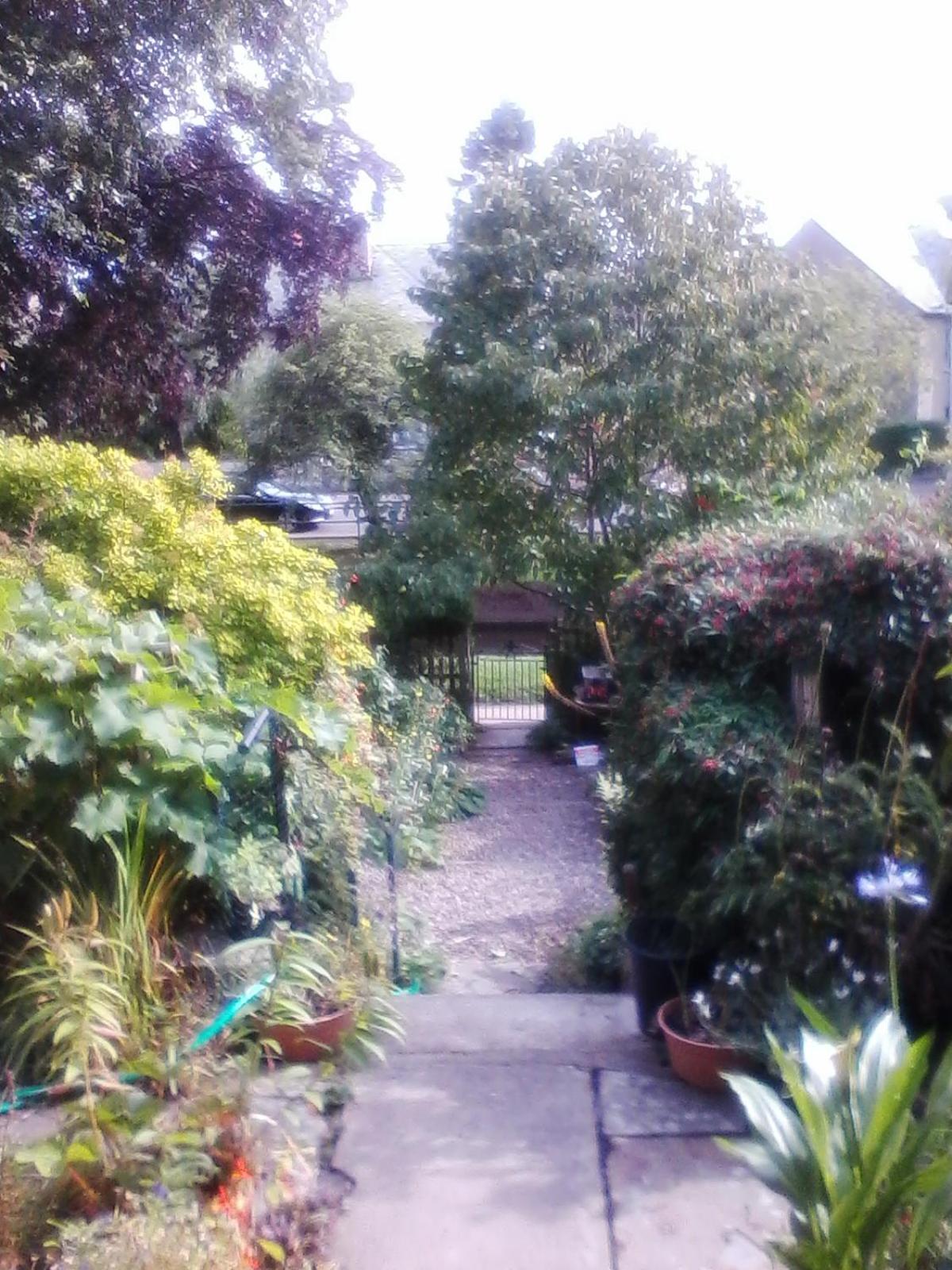 Photo 15