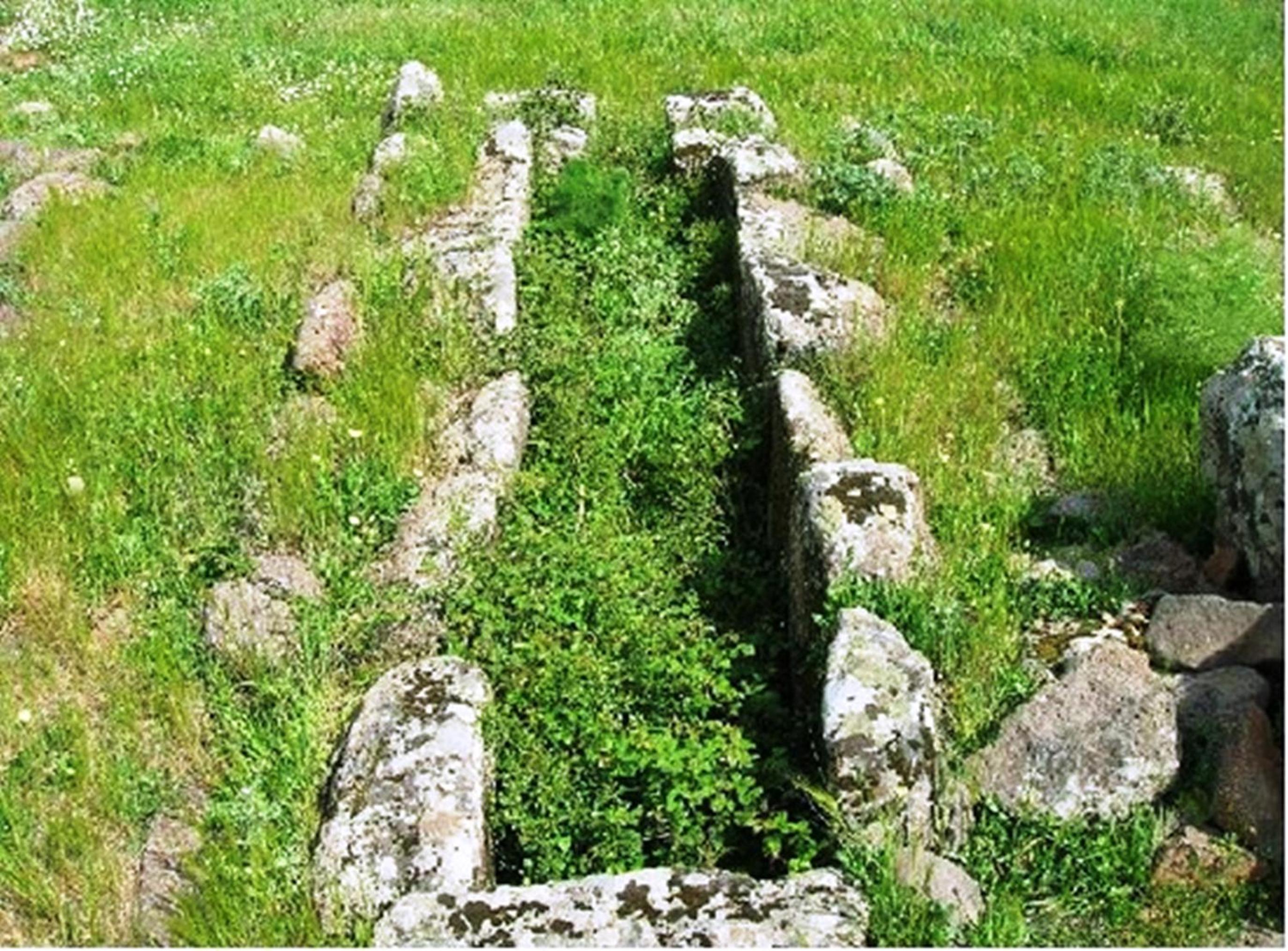 Photo 46