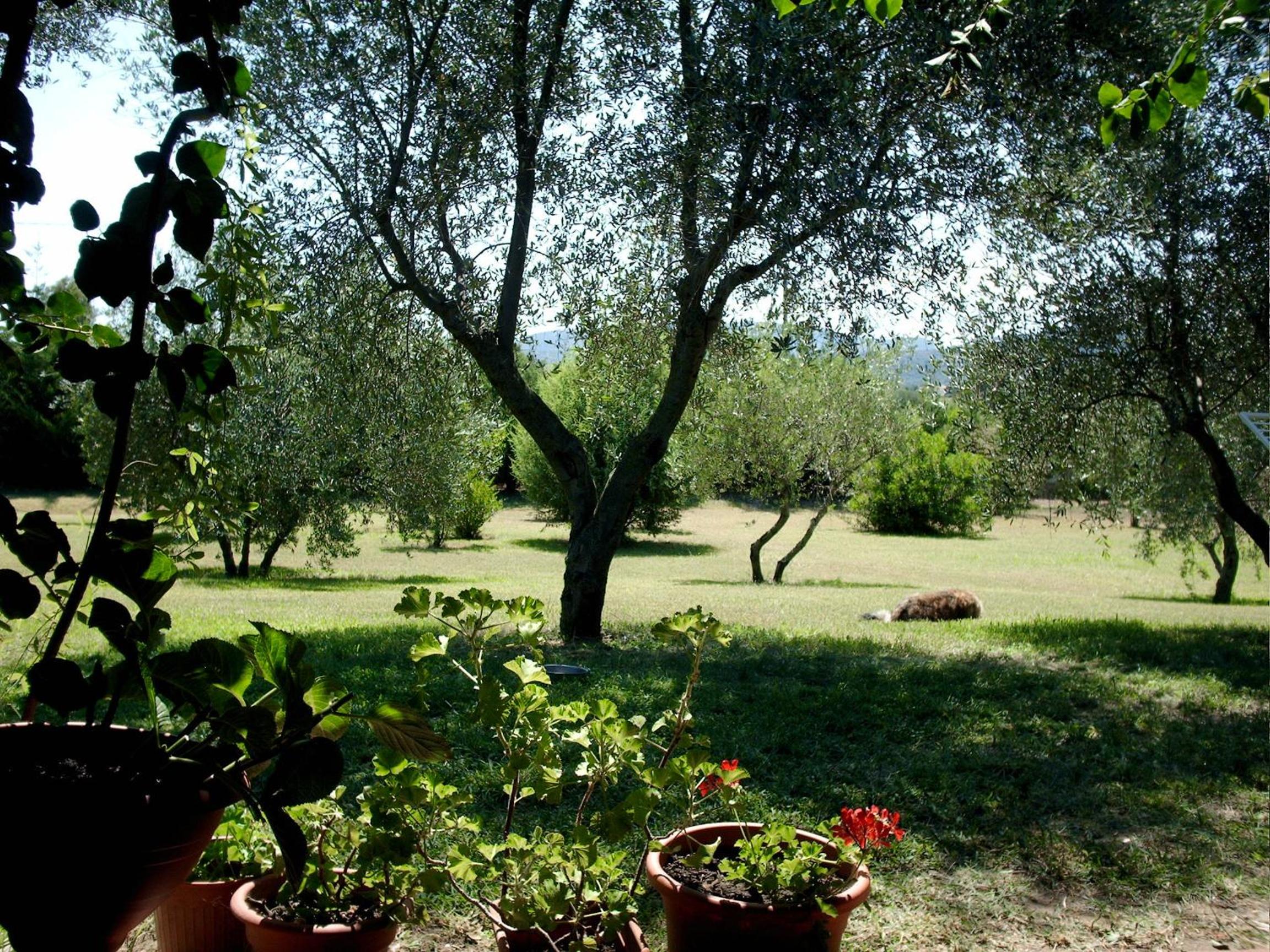 Photo 40
