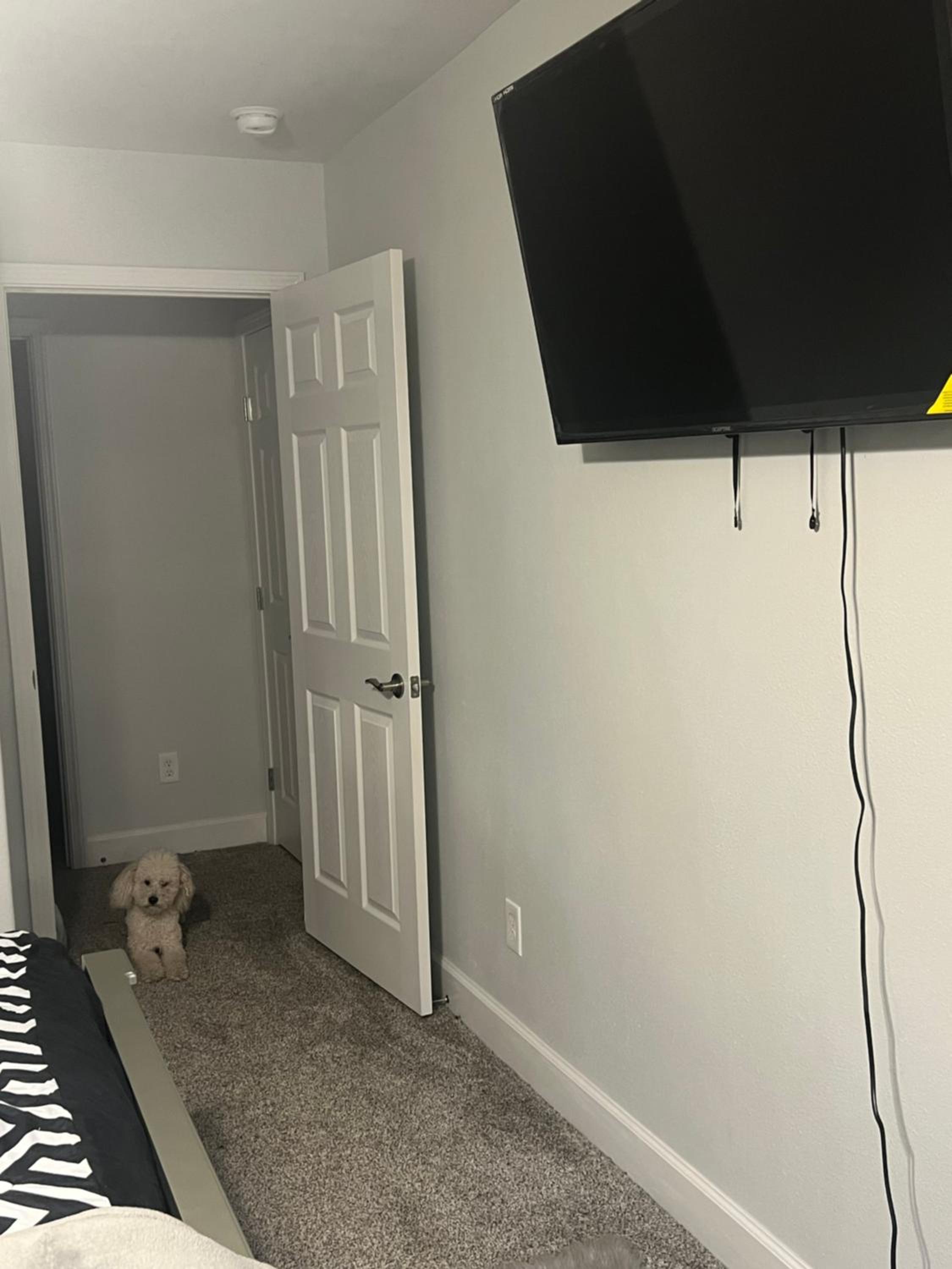 Your Ultimate Relaxation Retreat Pets Allowed
