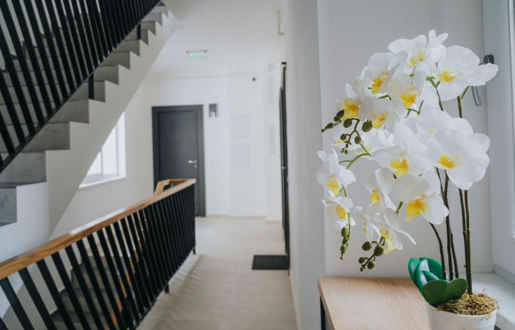 Josephine Apartment - Free Private Parking 2bedrooms