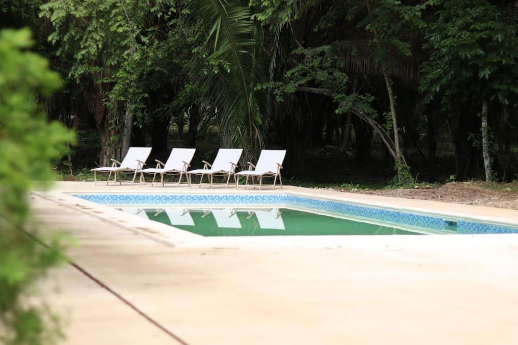 Central Oasis Private Pool BBQ