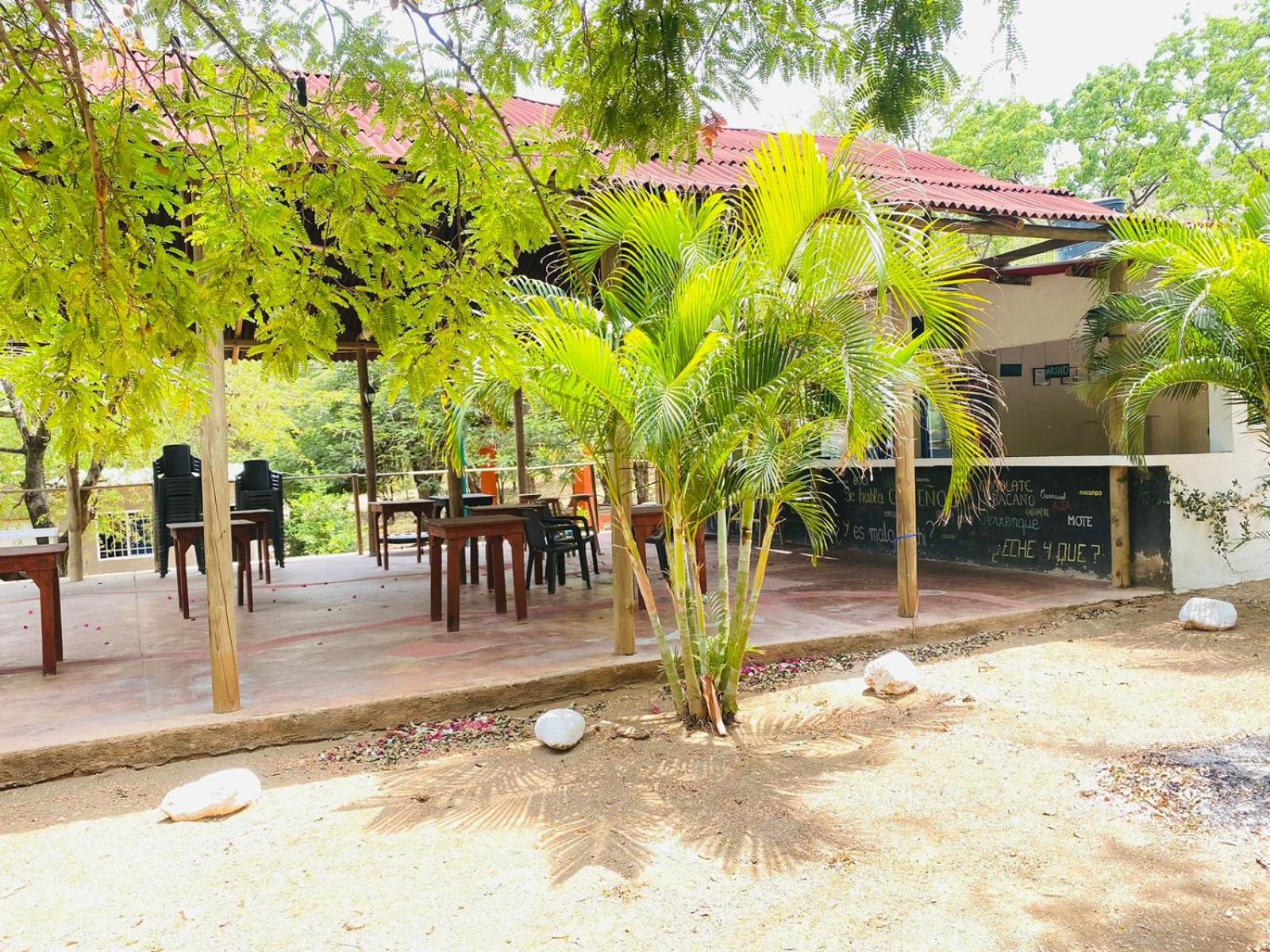 HOSTAL OLAS CLUB DE NEGUANJE -TAYRONA