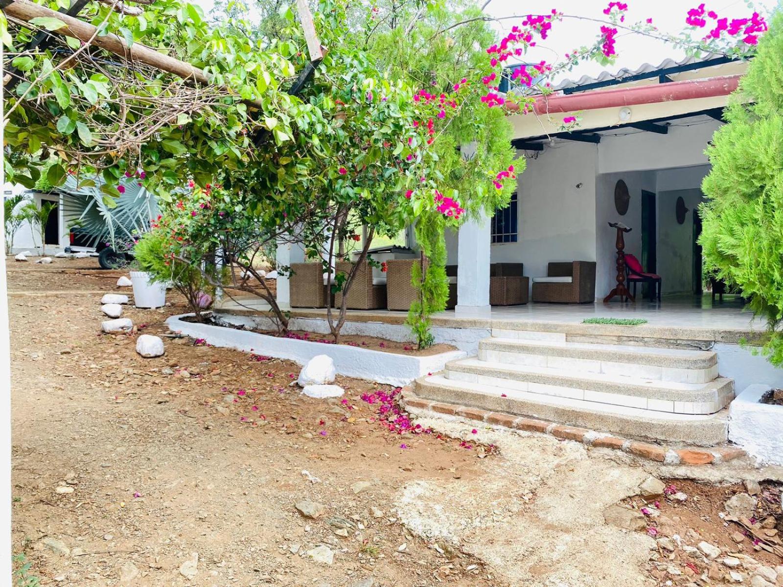 HOSTAL OLAS CLUB DE NEGUANJE -TAYRONA