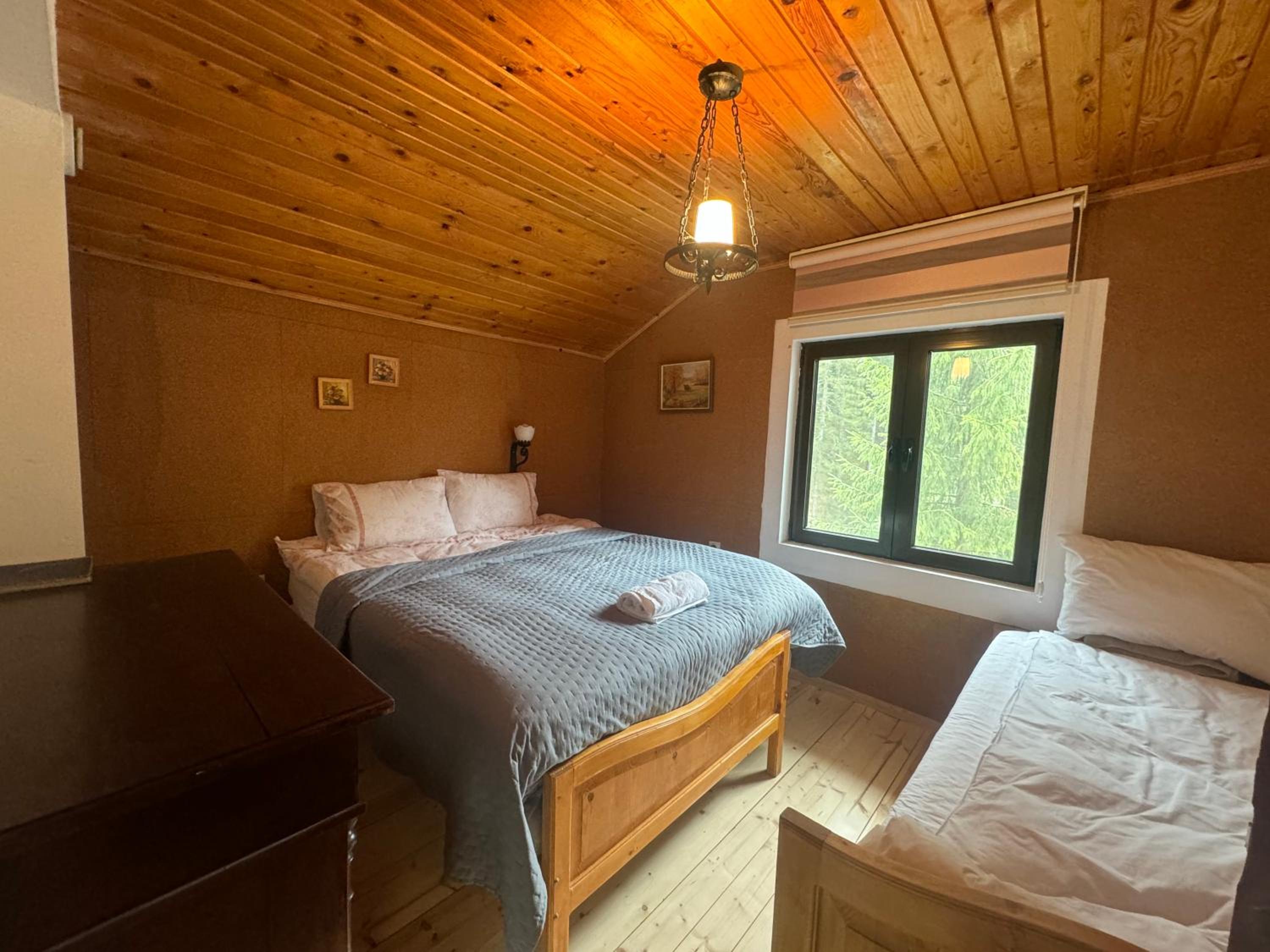 Villa Gusto, 3km from Pamporovo
