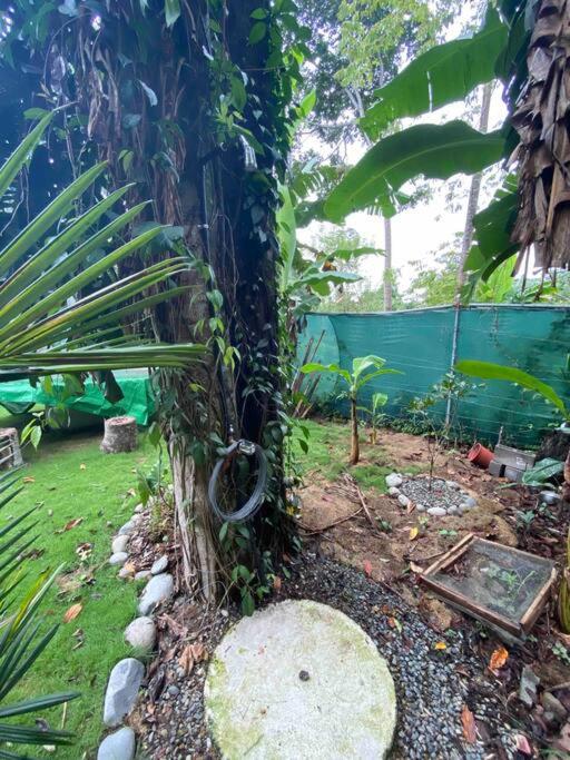 Jungle Bungalow with Small Pool
