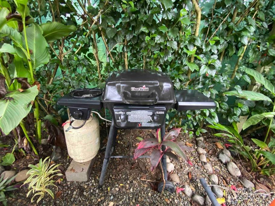 Jungle Bungalow with Small Pool