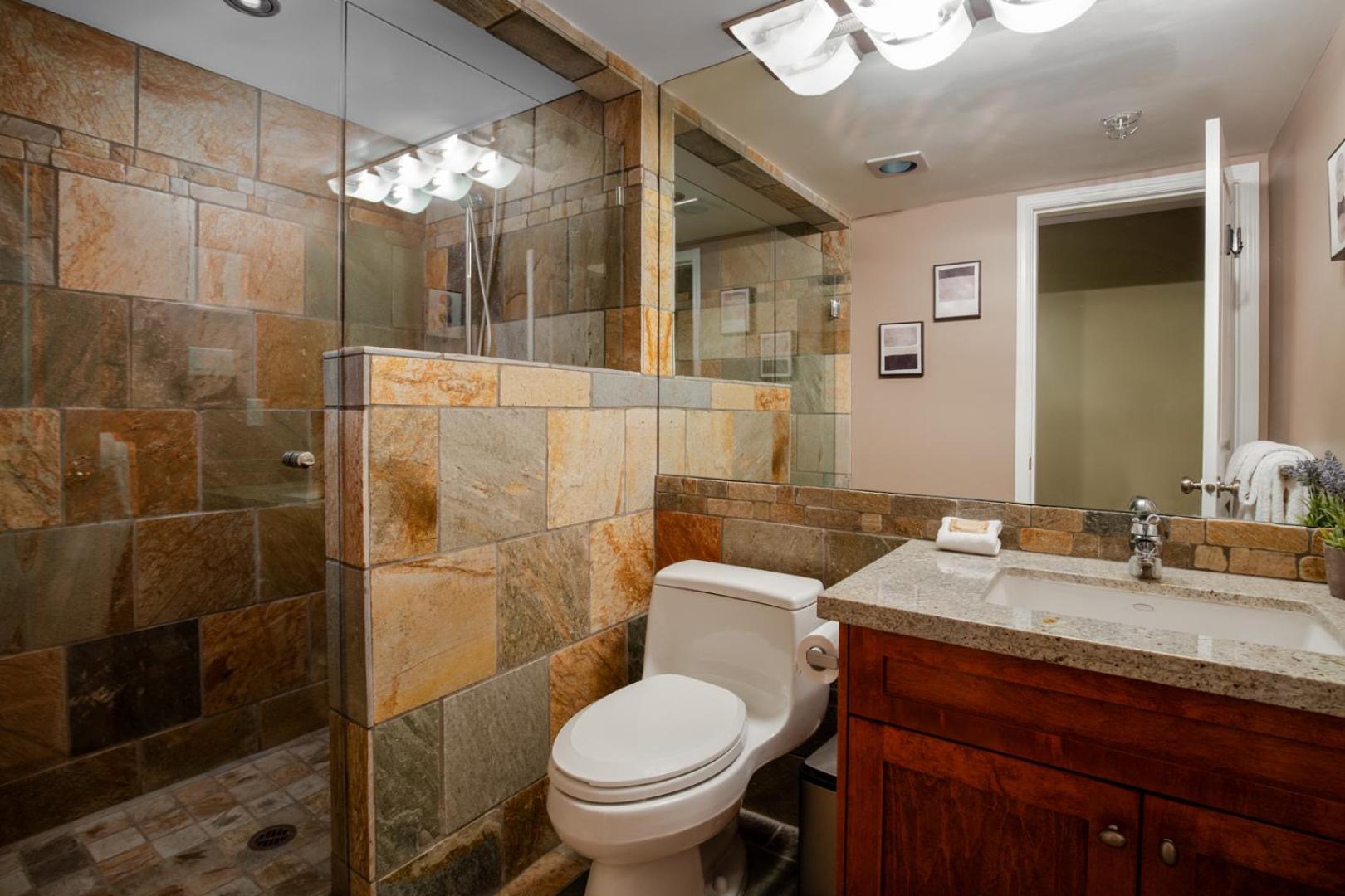 3BR in Wintergreen, Family Sized, Wood Burning Fireplace, Secure Parking, Ski Hill Bus Access