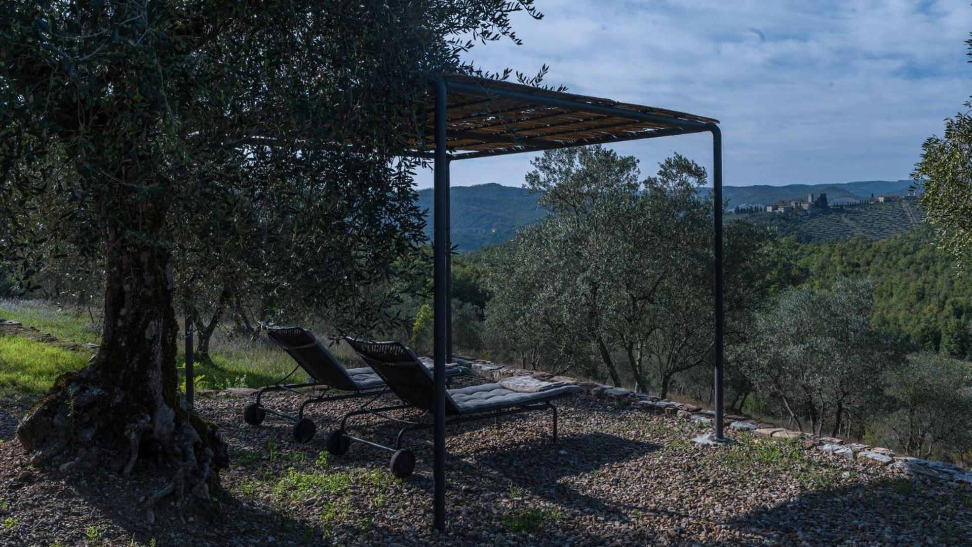 L'Oliveta view 5