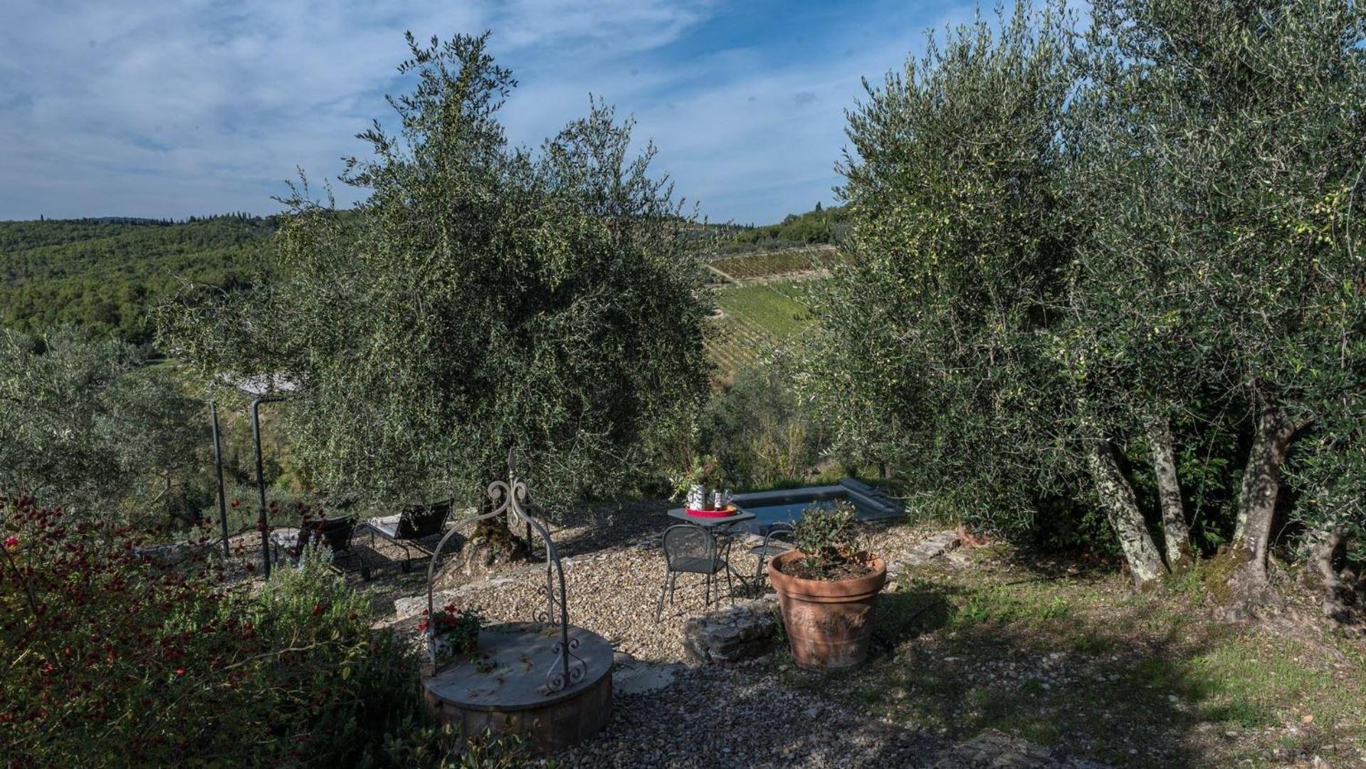 L'Oliveta view 4