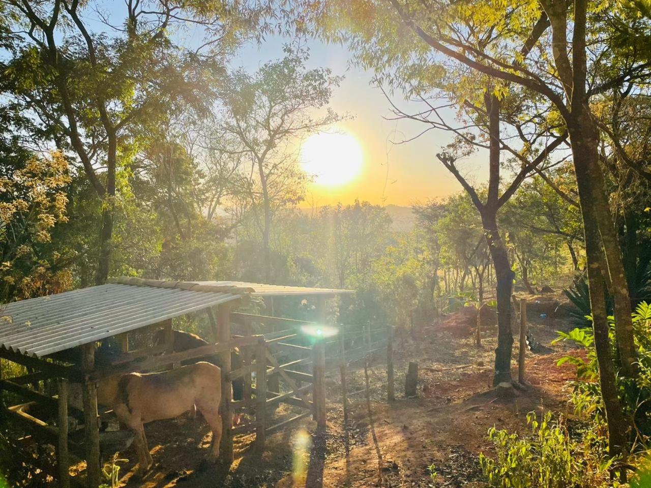 Rancho Ubuntu