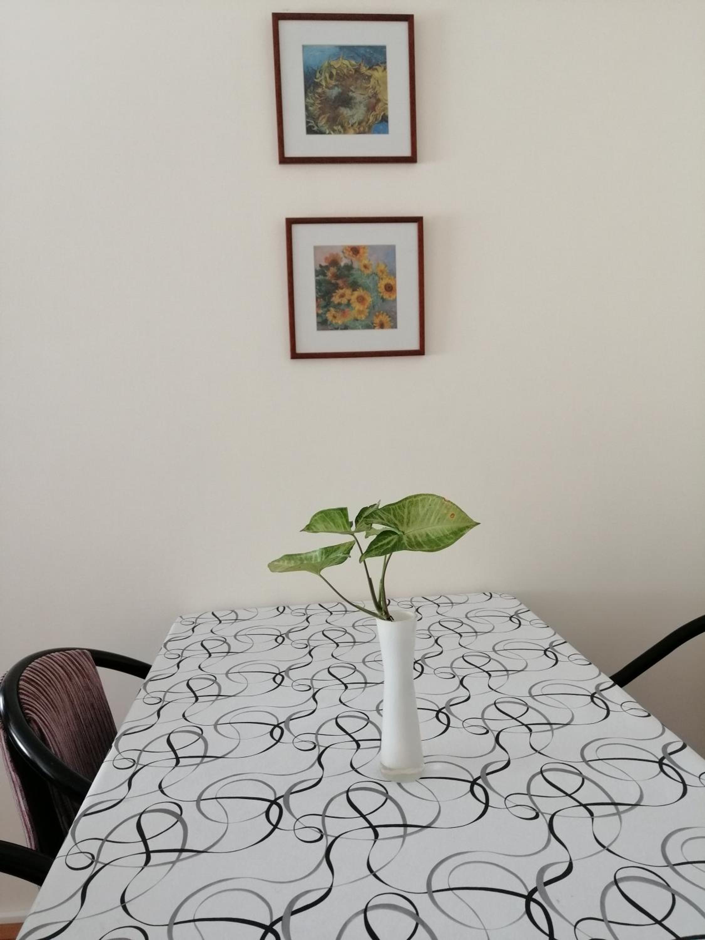 Baires city appartement
