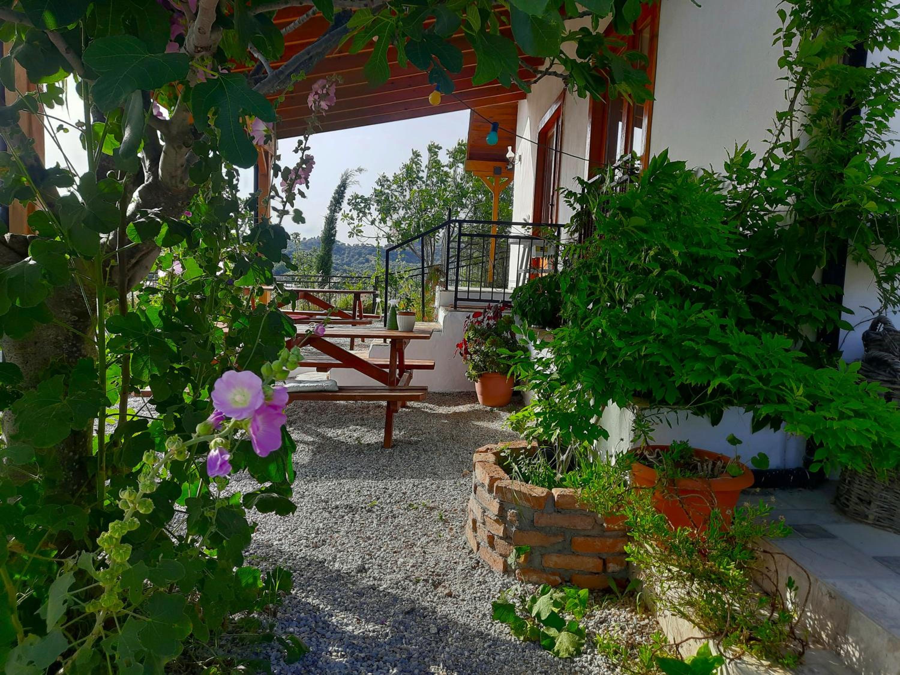 Ionia Guest House — photo 5