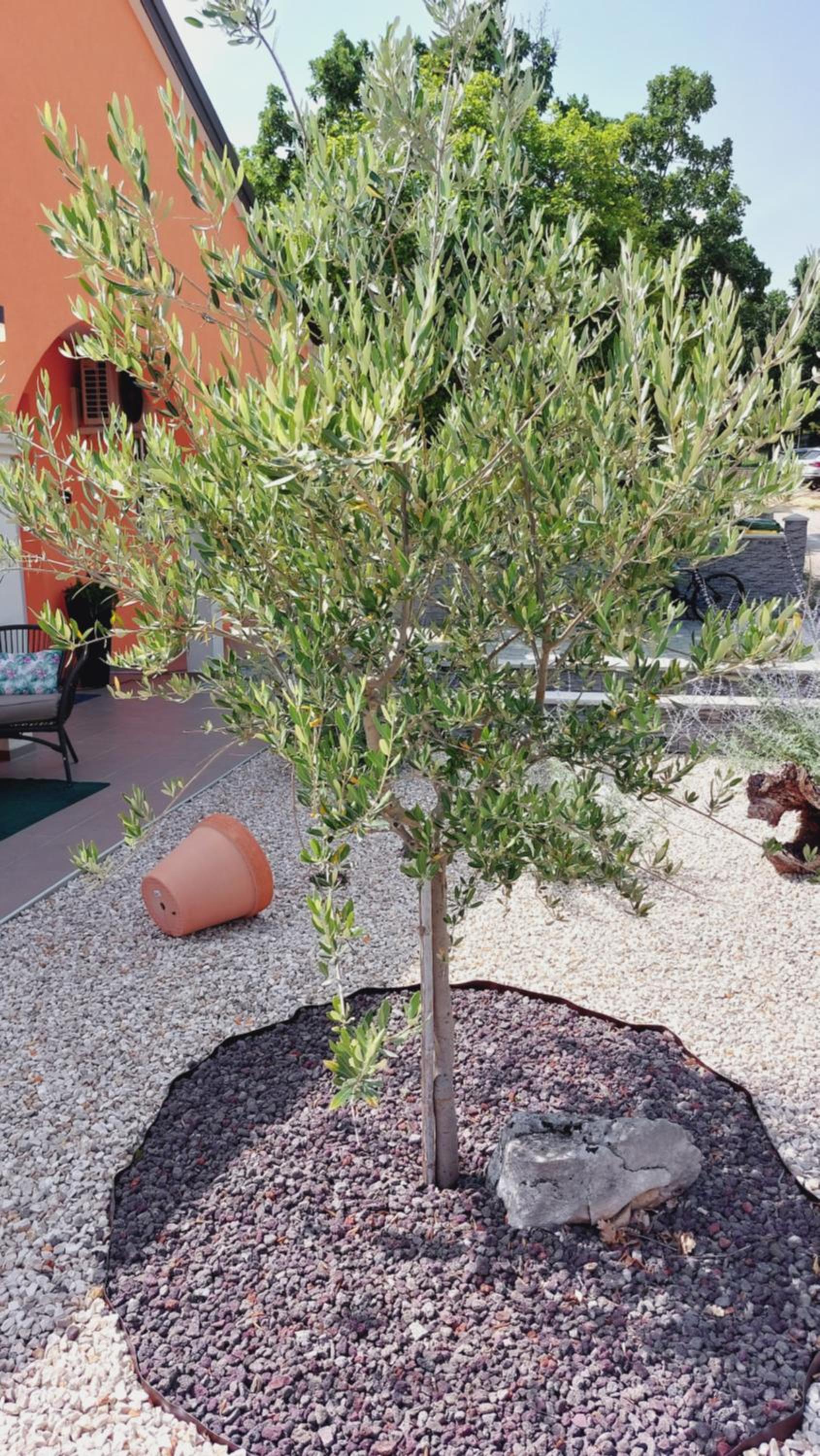 Holiday Home Ripenda