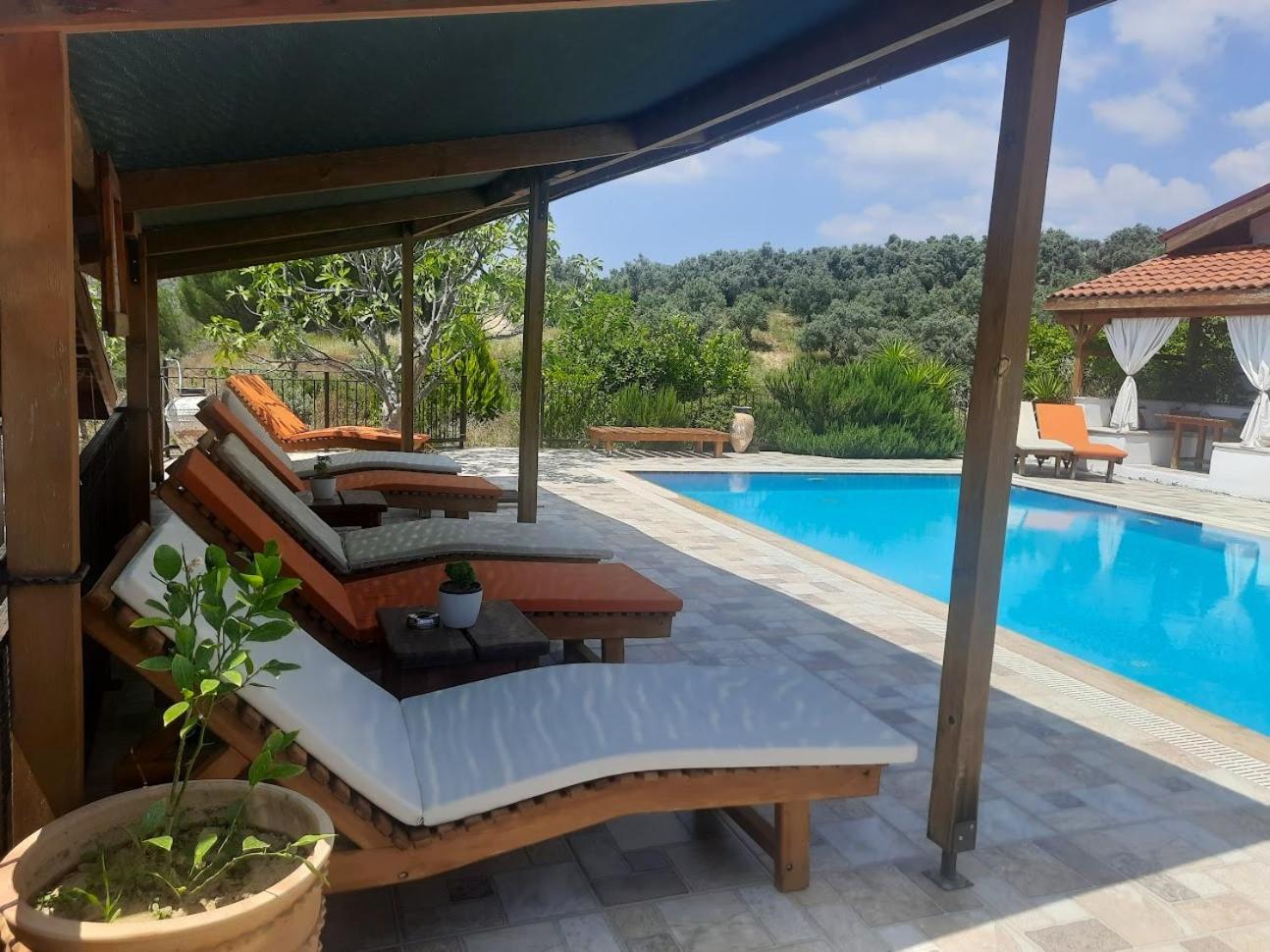 Ionia Guest House — photo 2