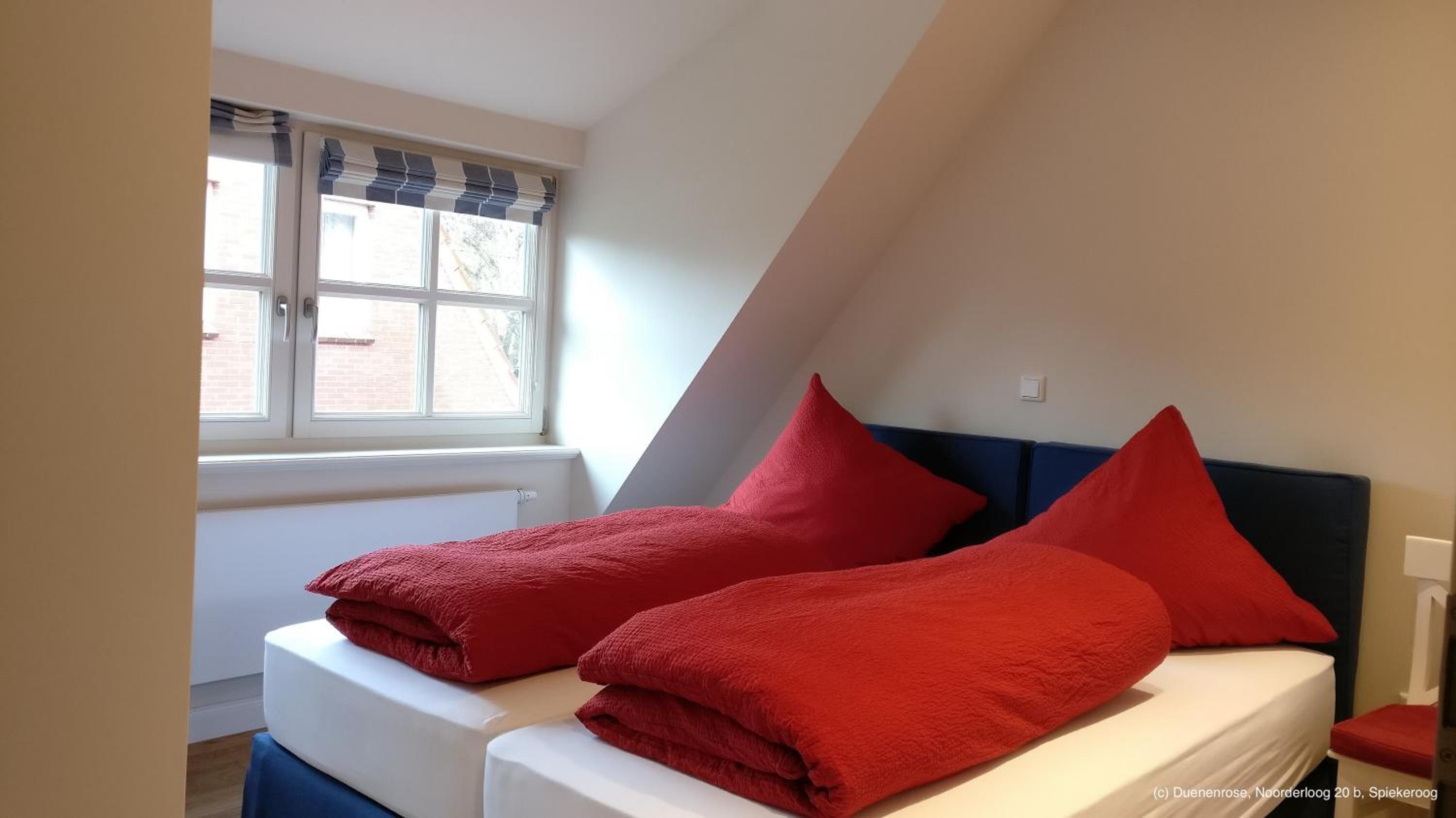 Dünenrose