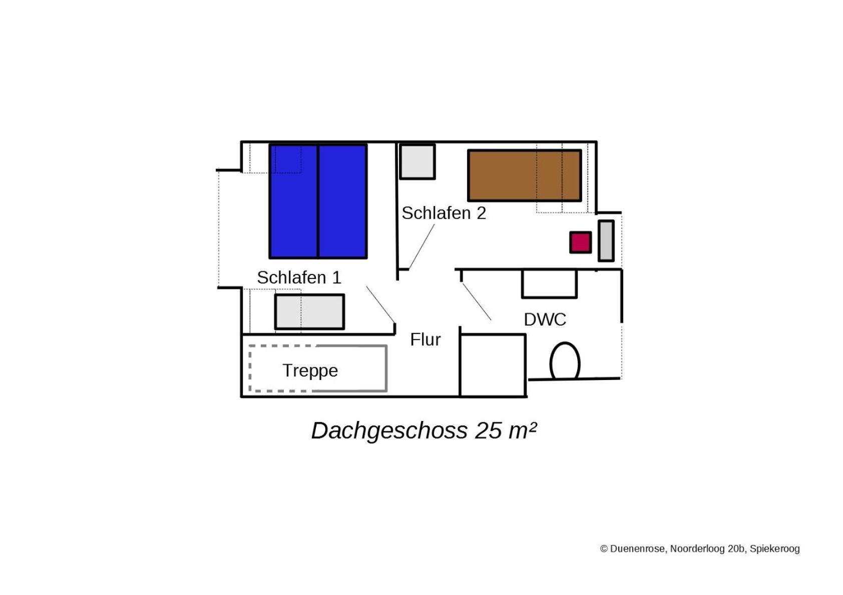Dünenrose