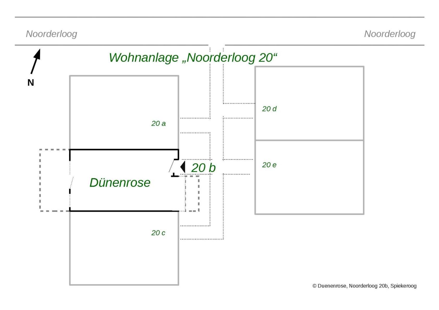 Dünenrose