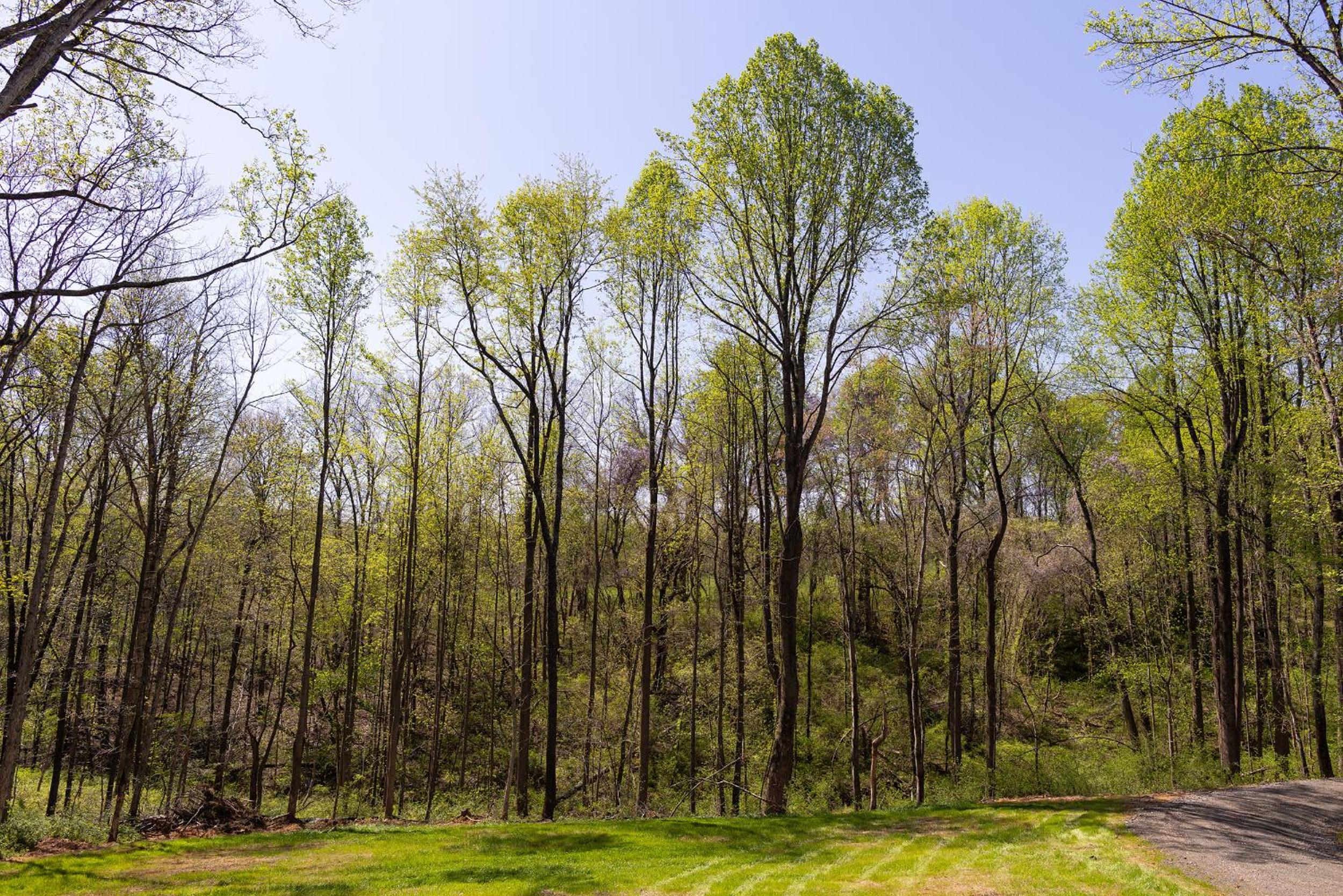 Applewood Ridge Guest Rental