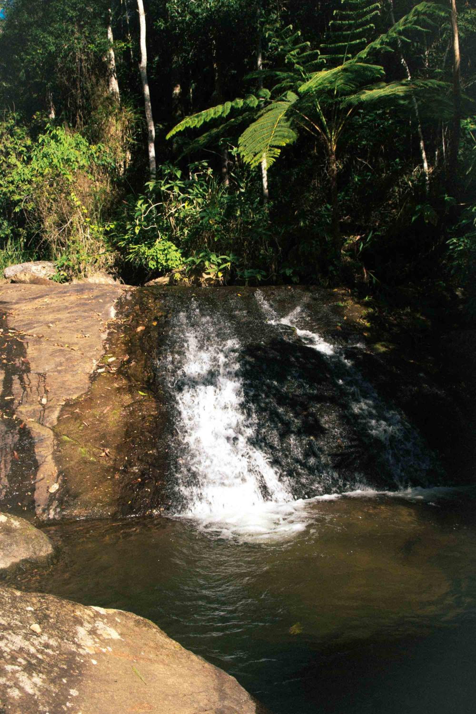 Comunidade Ibipuris