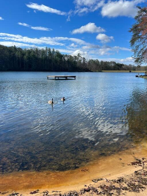 Boo Boo's Cabin - Lake Front!