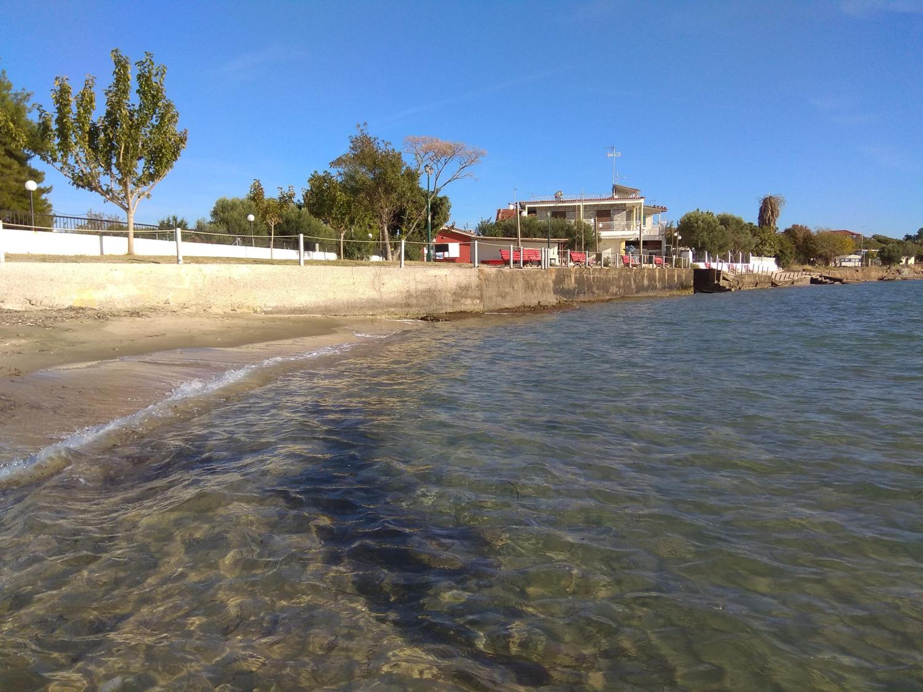 Photo 44