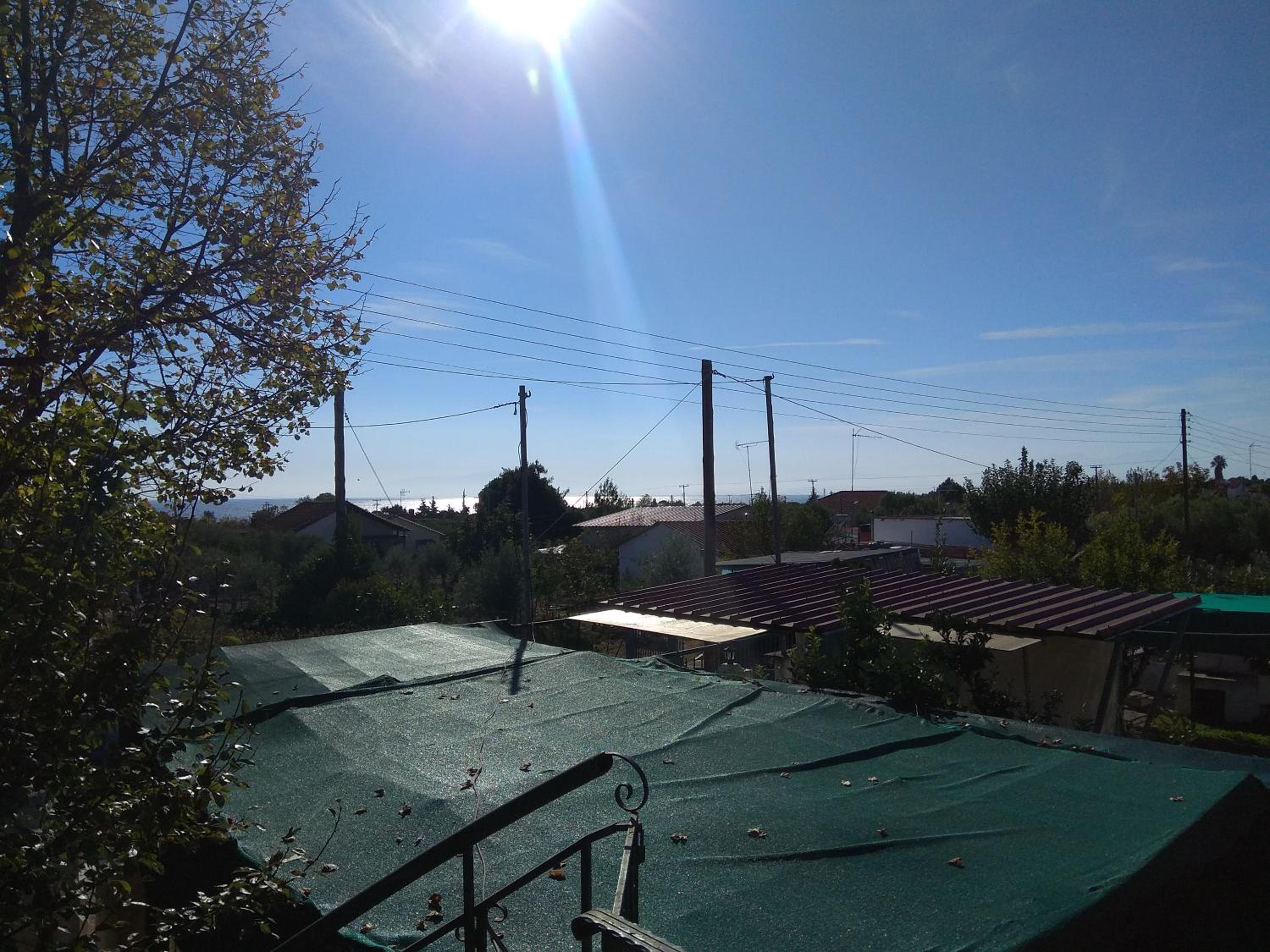 Photo 51