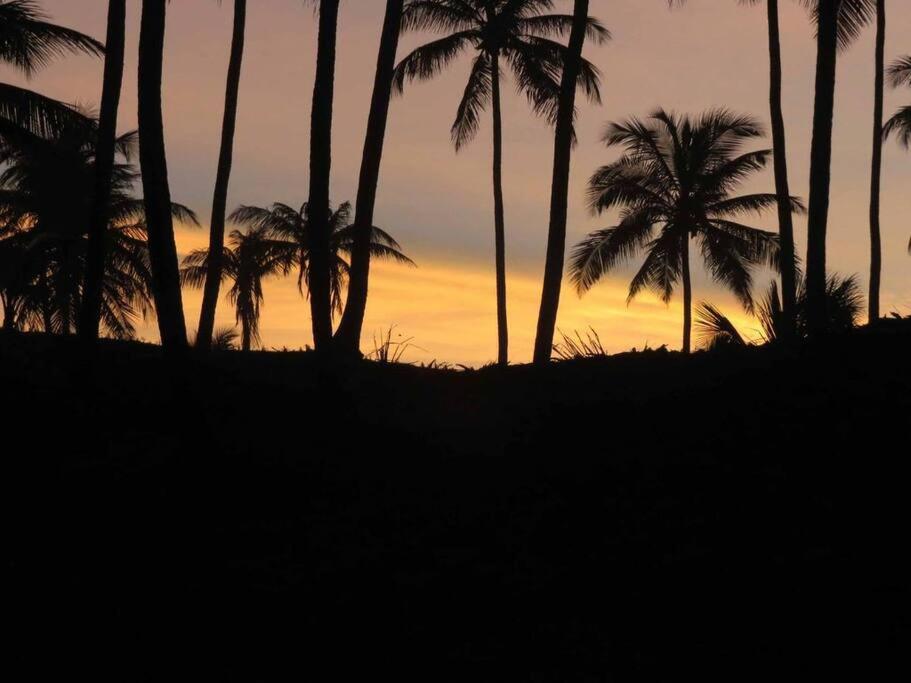Reserva Imbassai Apto de luxo com praia privativa