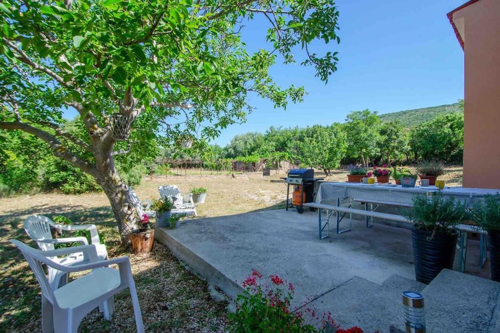 RENATOEMILIA spacious apartment with courtyard