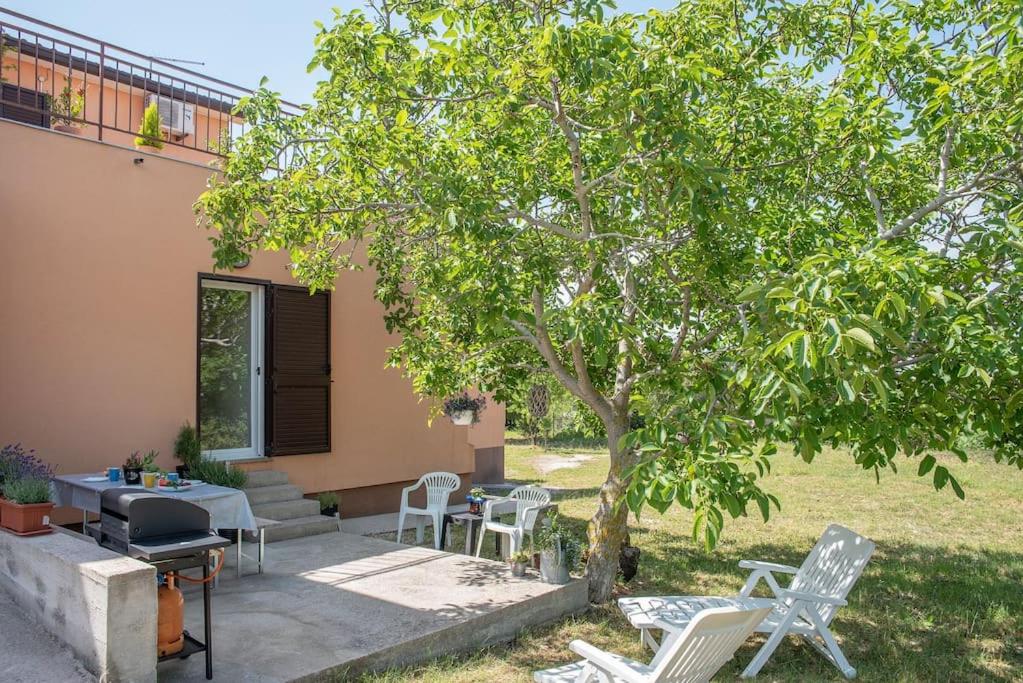 RENATOEMILIA spacious apartment with courtyard