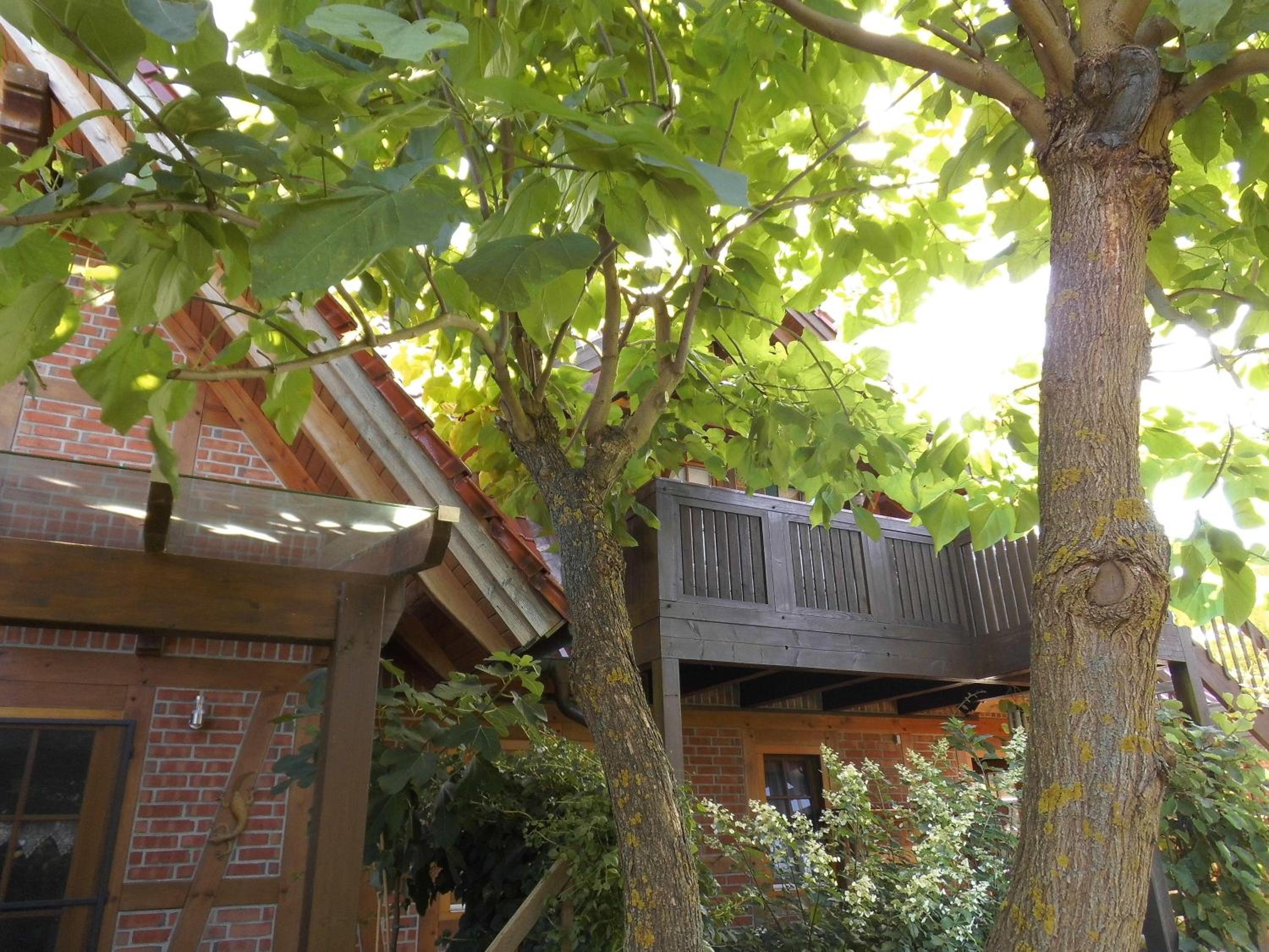 Ferienwohnung-Kribitz-Hodenhagen view 2