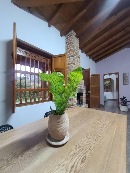 Casa Colibrí