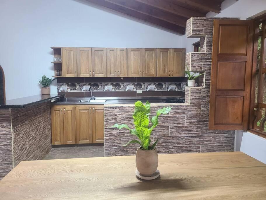 Casa Colibrí