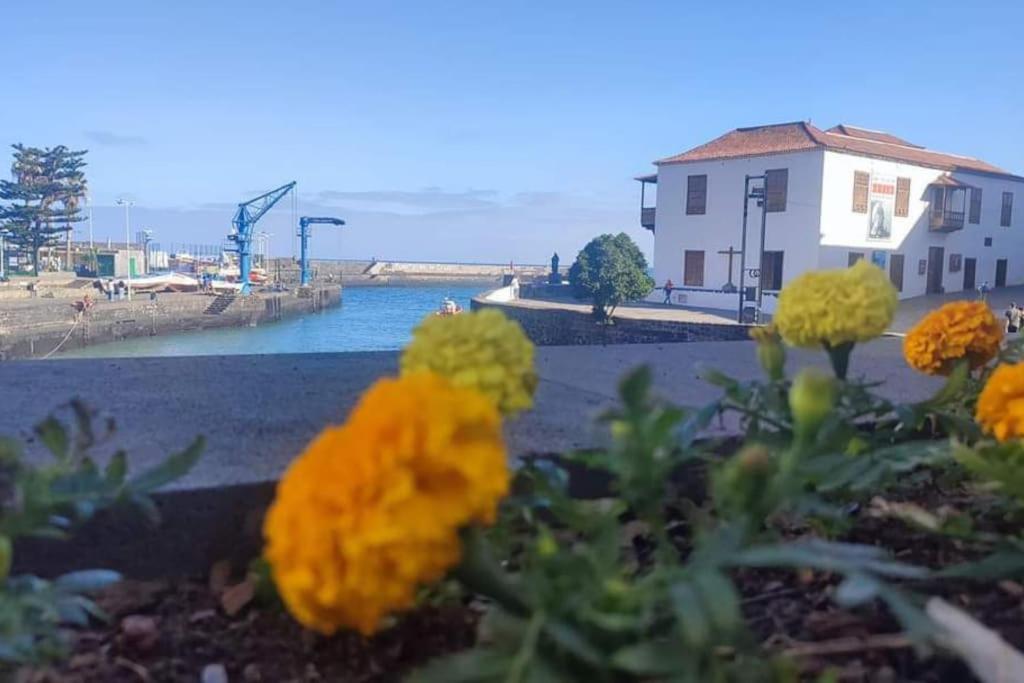 Estudio con piscina y aire acondicionado en el centro del Puerto de la Cruz view 4