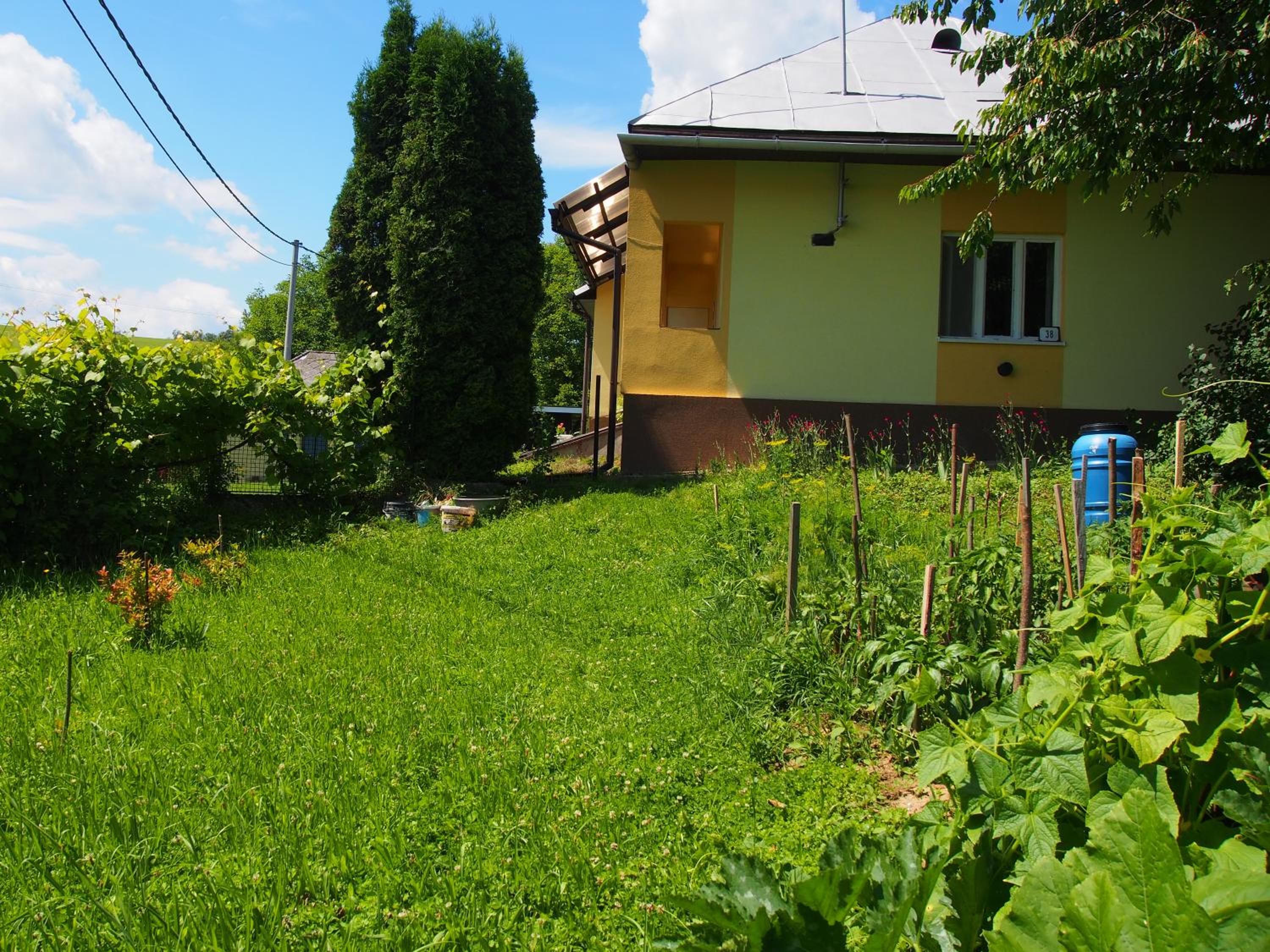 Photo 24
