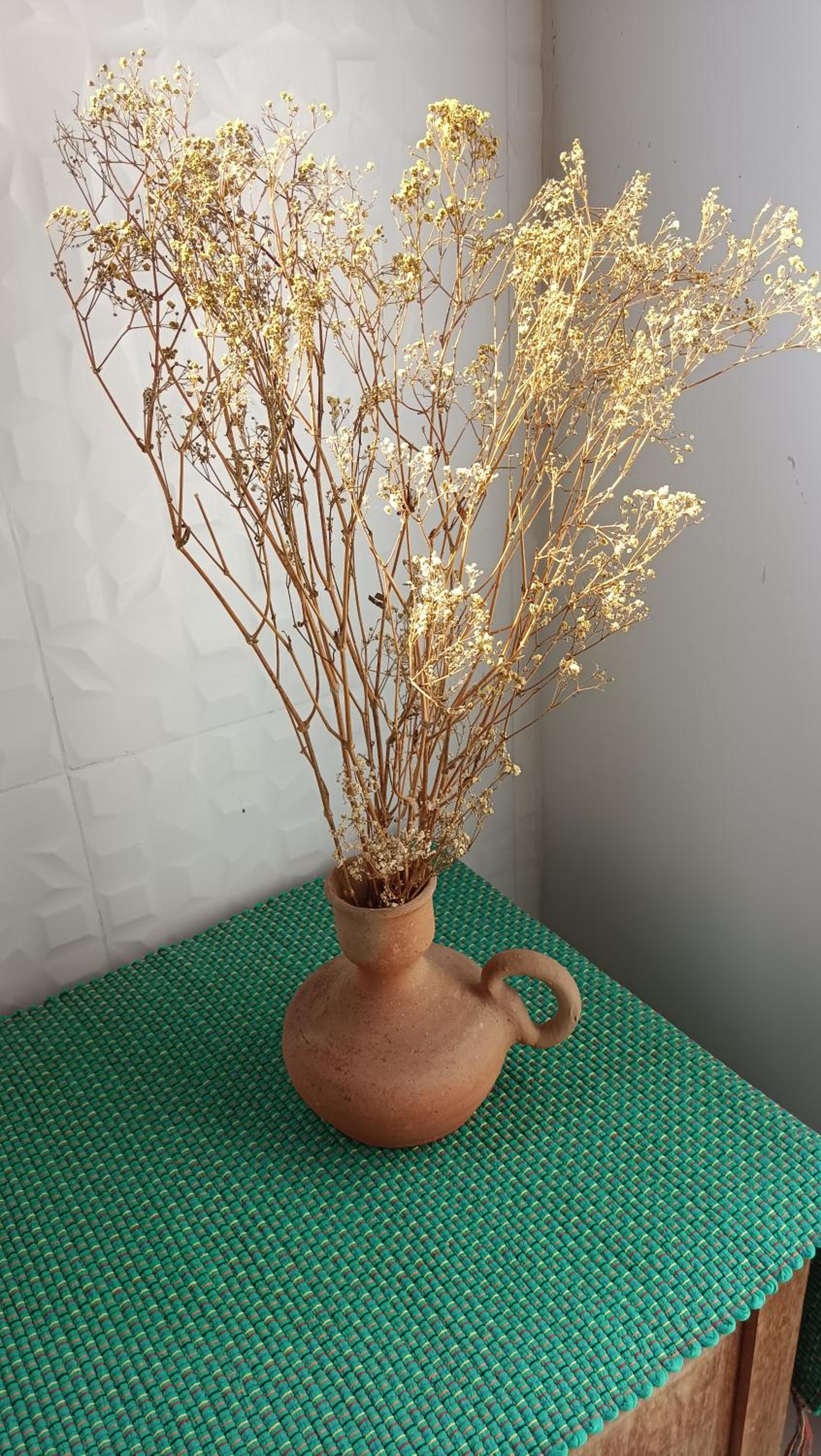 Pousada Divina Vila